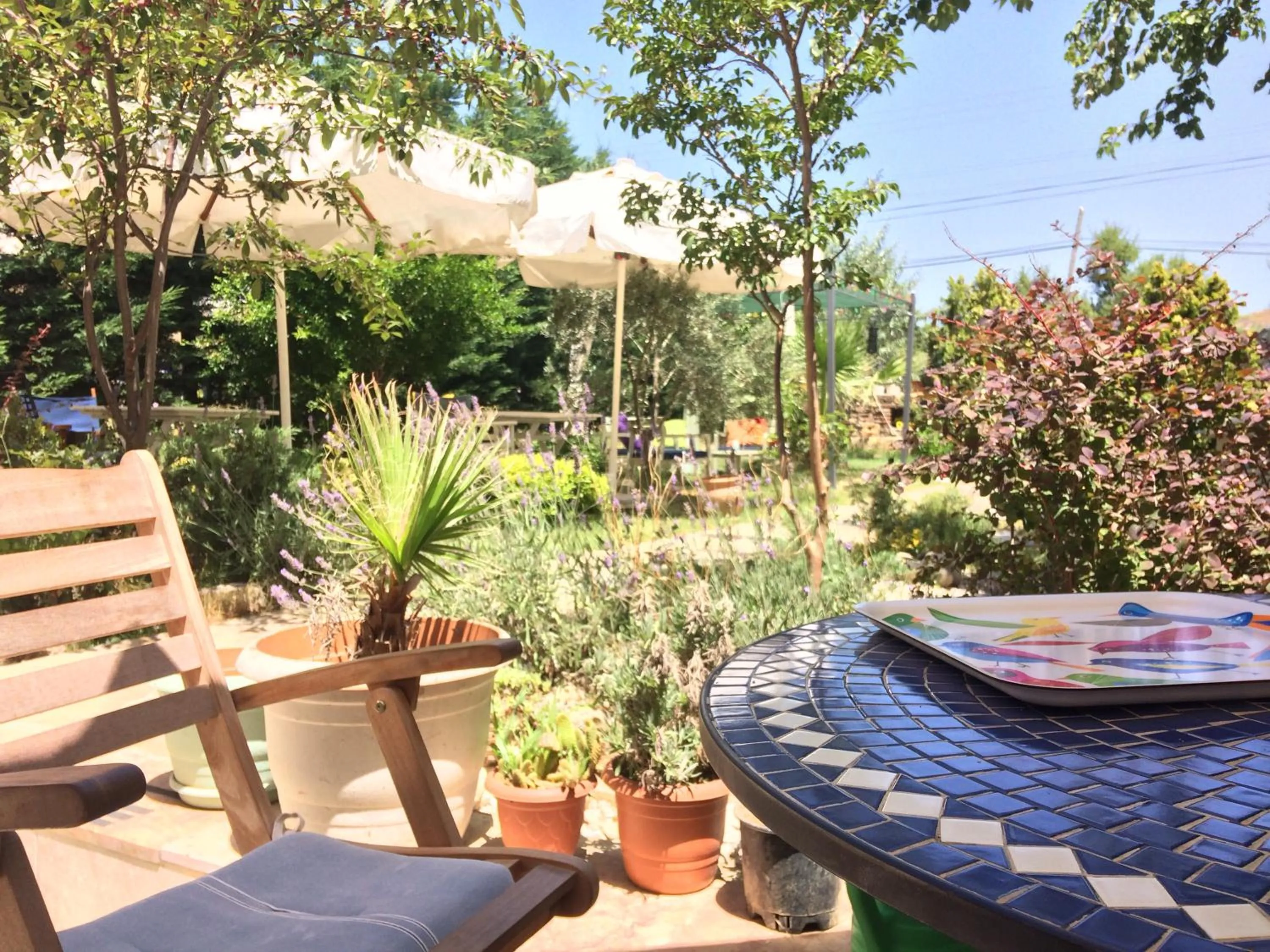 Spring in Ege Han Hotel