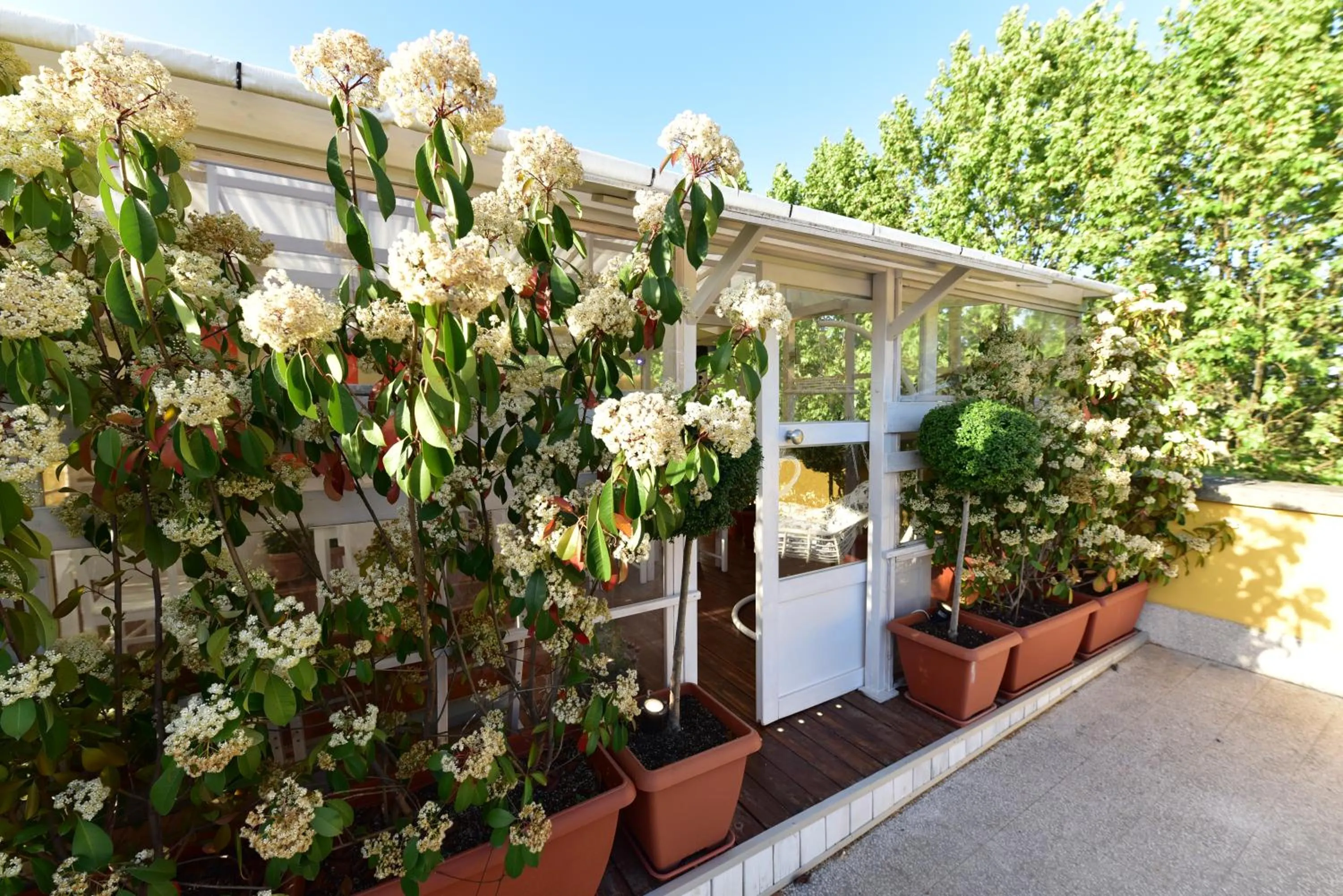 Balcony/Terrace in QuodLibet