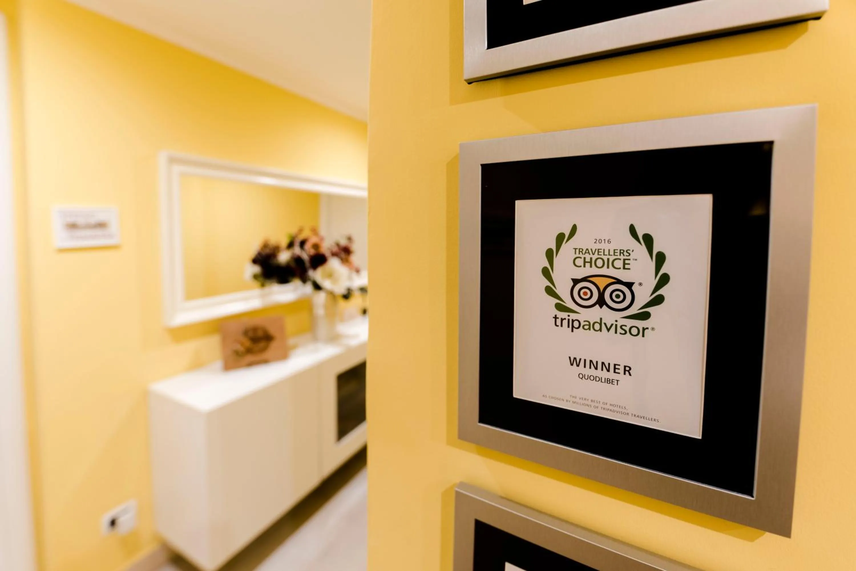 Certificate/Award in QuodLibet