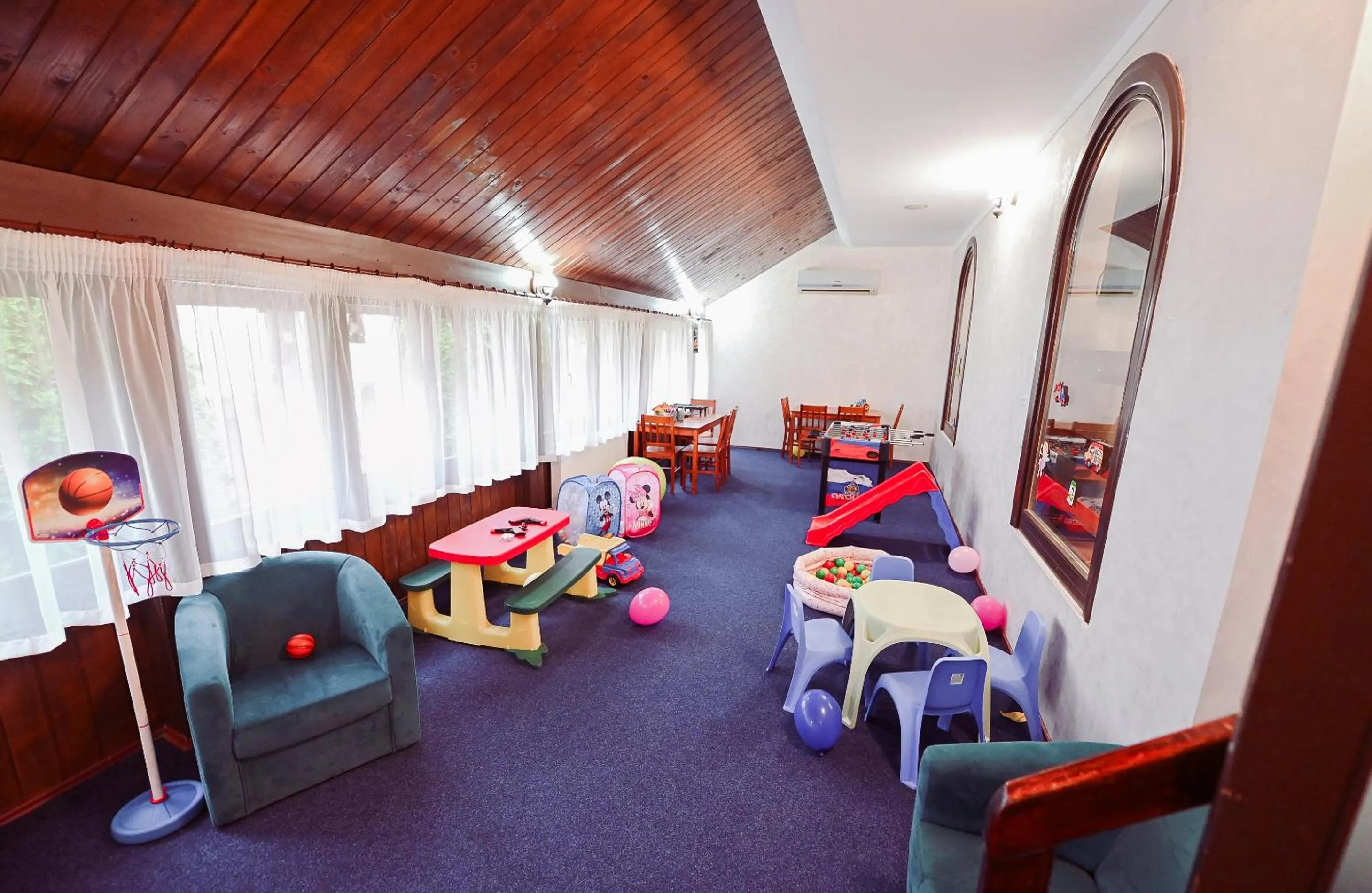 Game Room in Conacul Domnesc