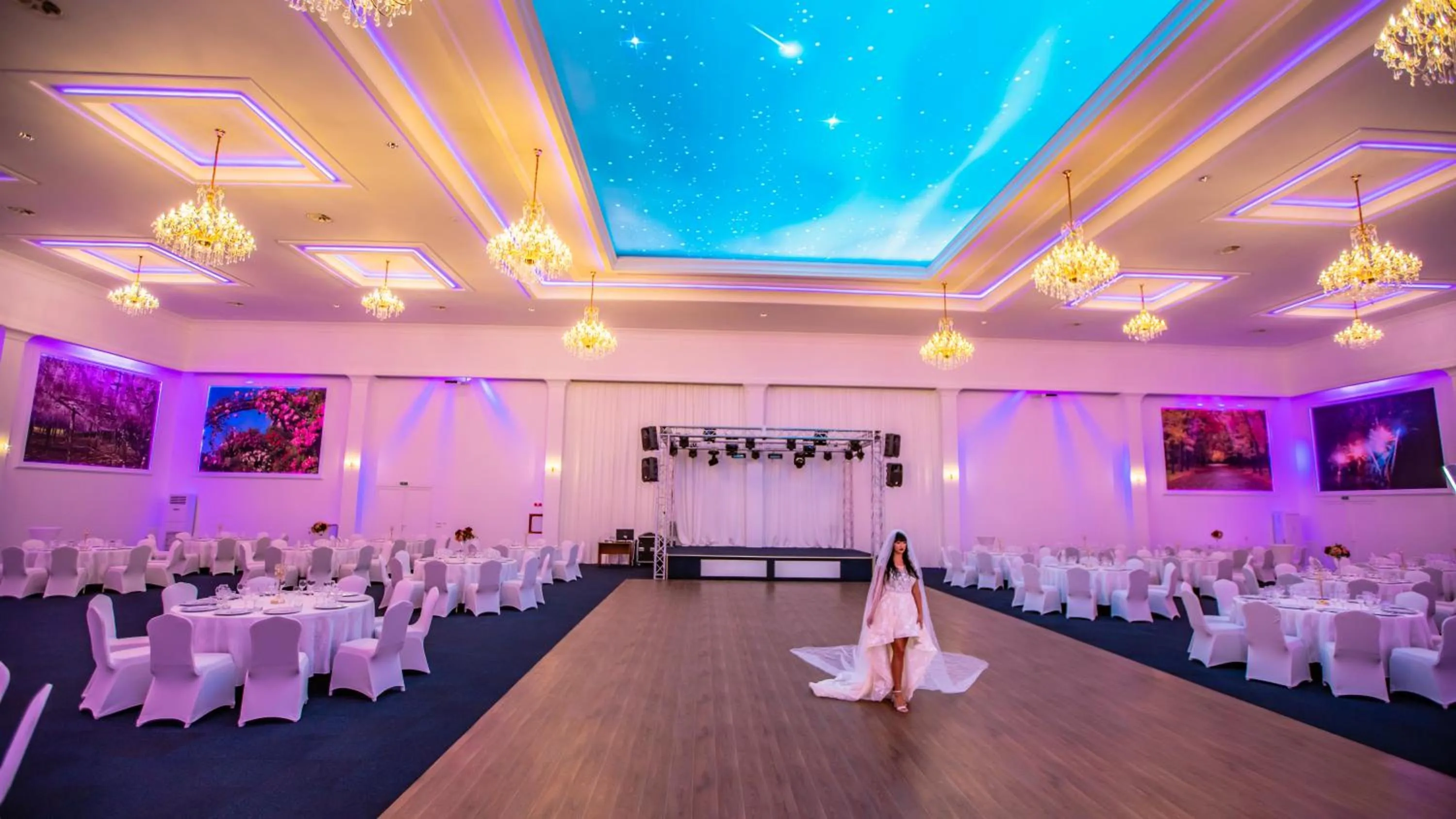 Banquet/Function facilities in Conacul Domnesc