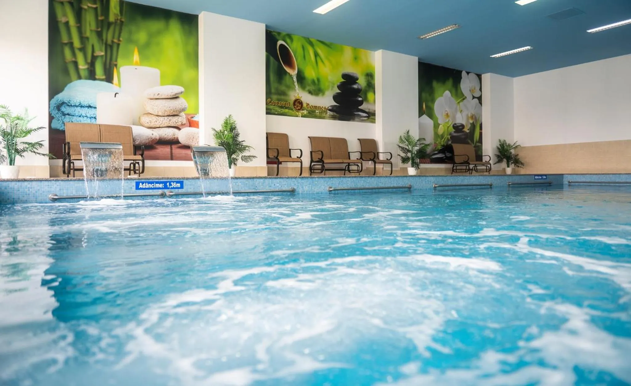 Swimming pool in Conacul Domnesc