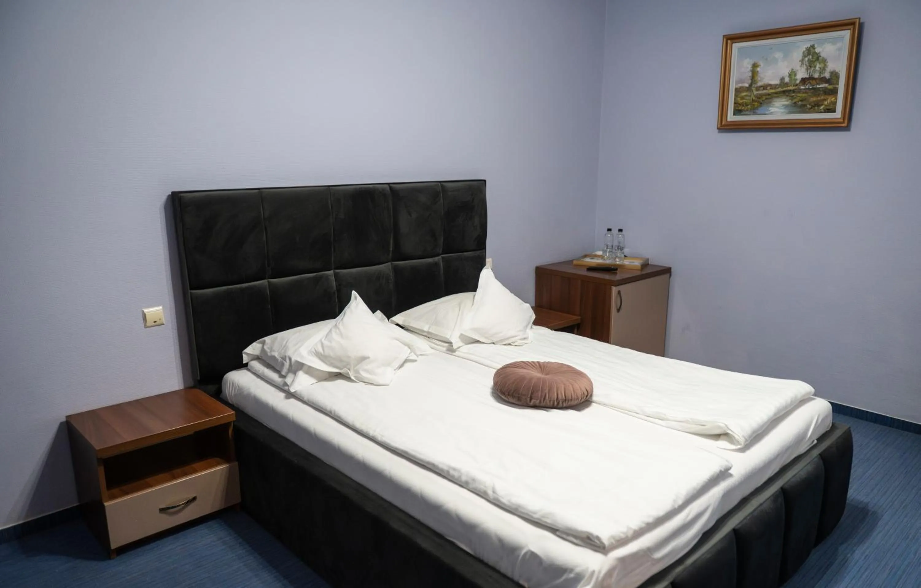 Photo of the whole room, Bed in Conacul Domnesc