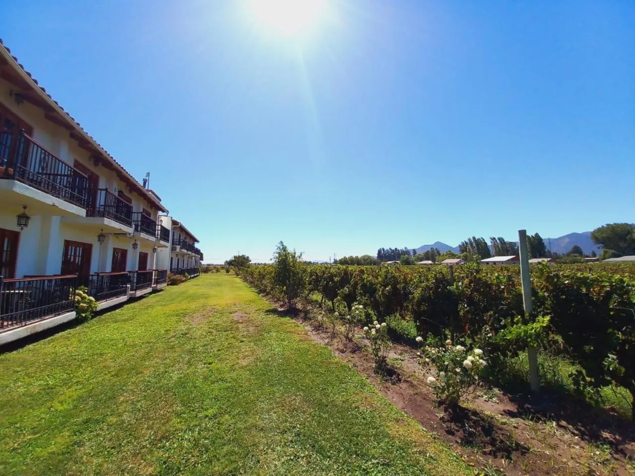 Garden view in Hotel Terraviña