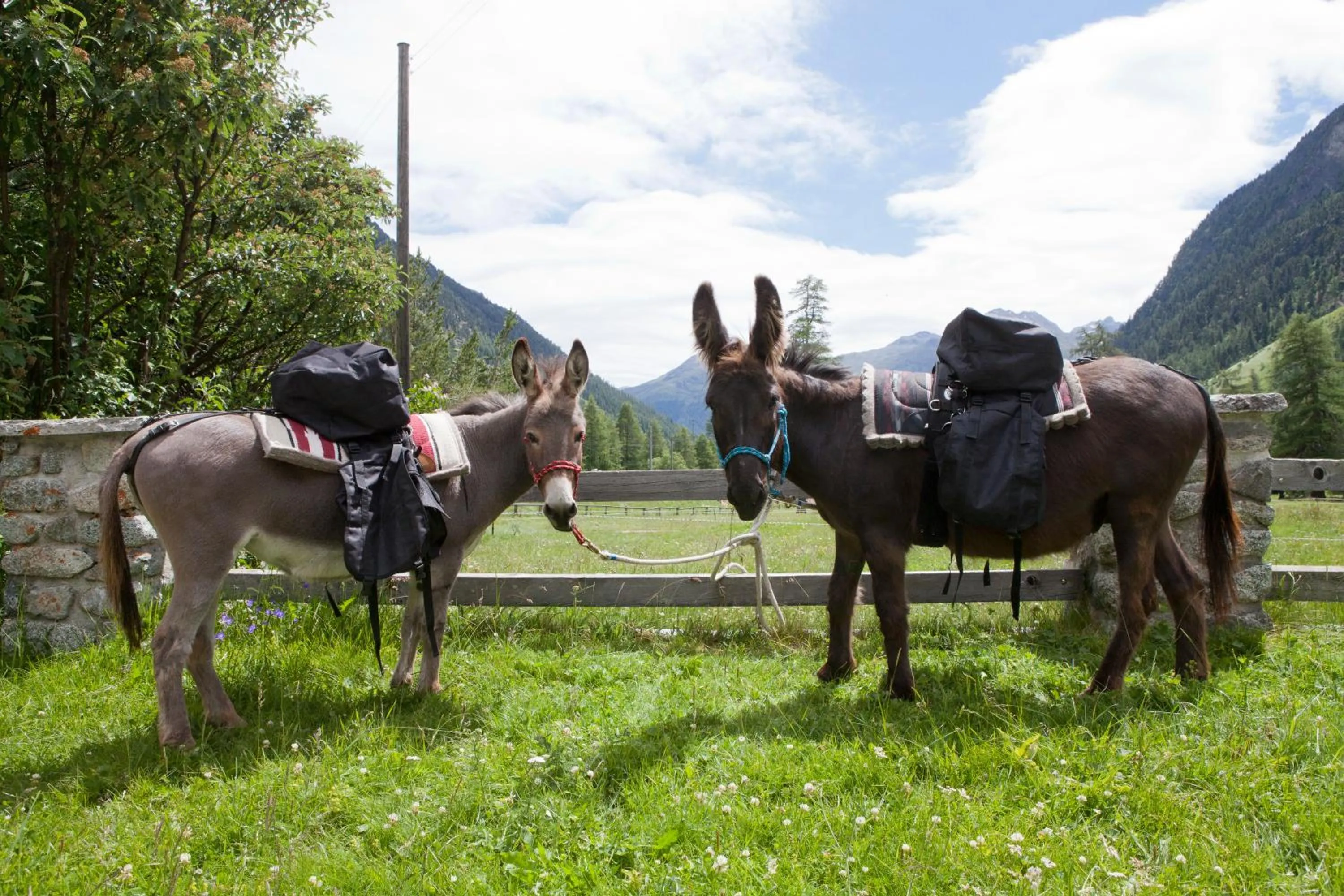 Day in Gasthaus Spinas