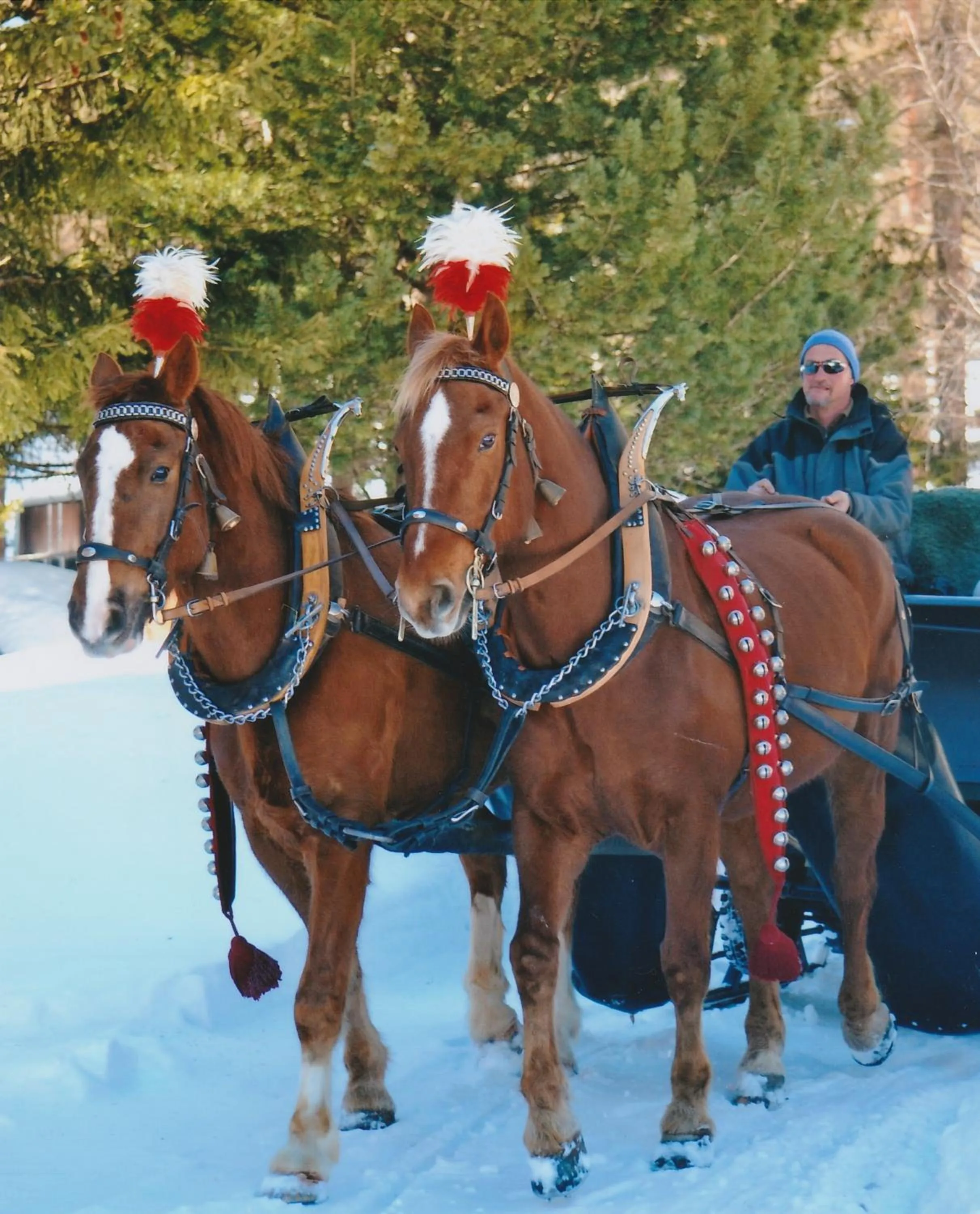 Activities in Gasthaus Spinas