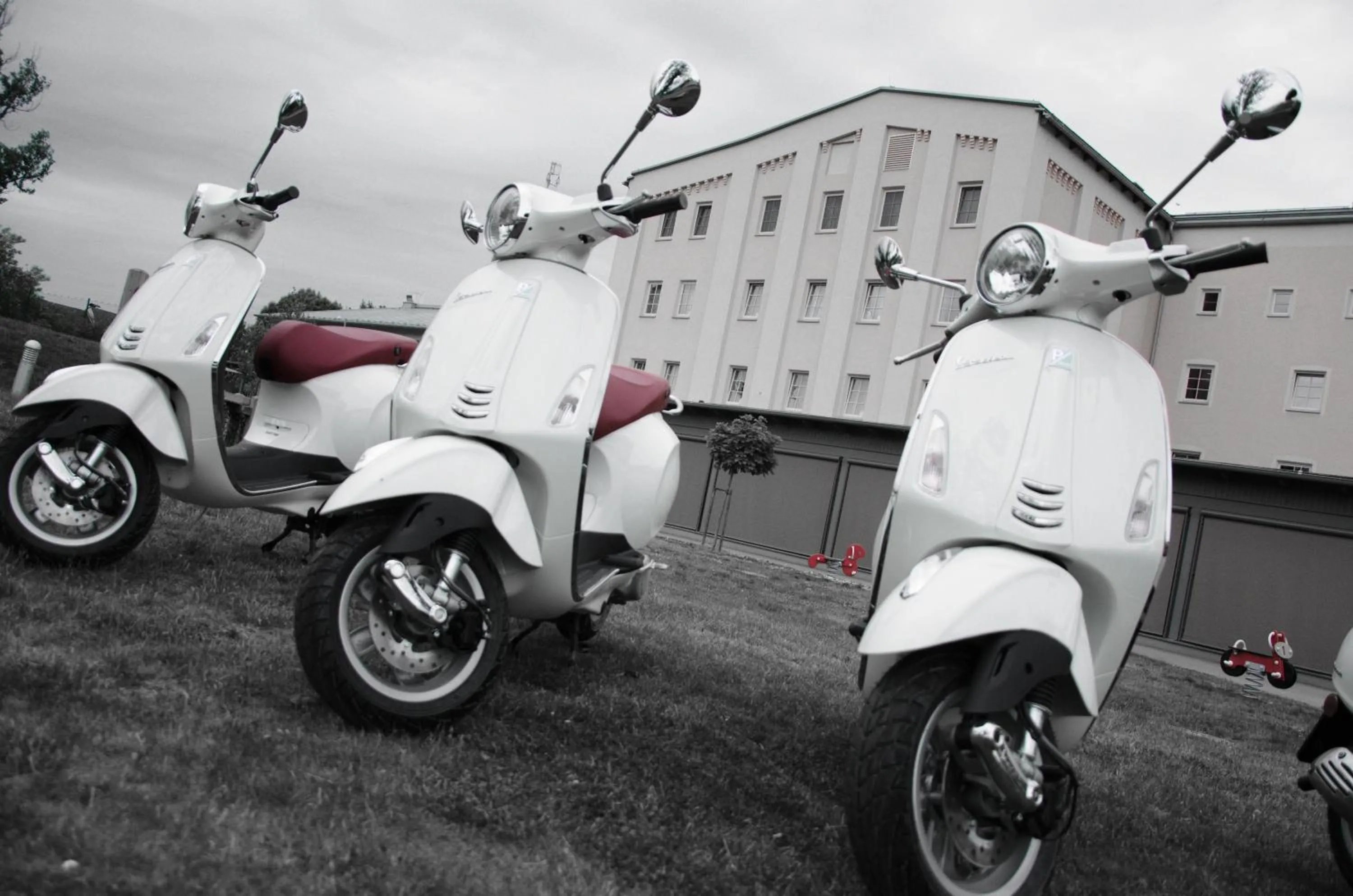 Entertainment in JUFA Hotel Weinviertel - Eselsmühle