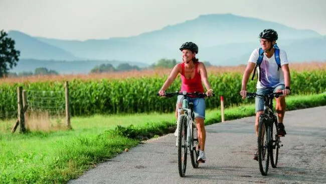 Cycling in JUFA Hotel Weinviertel - Eselsmühle