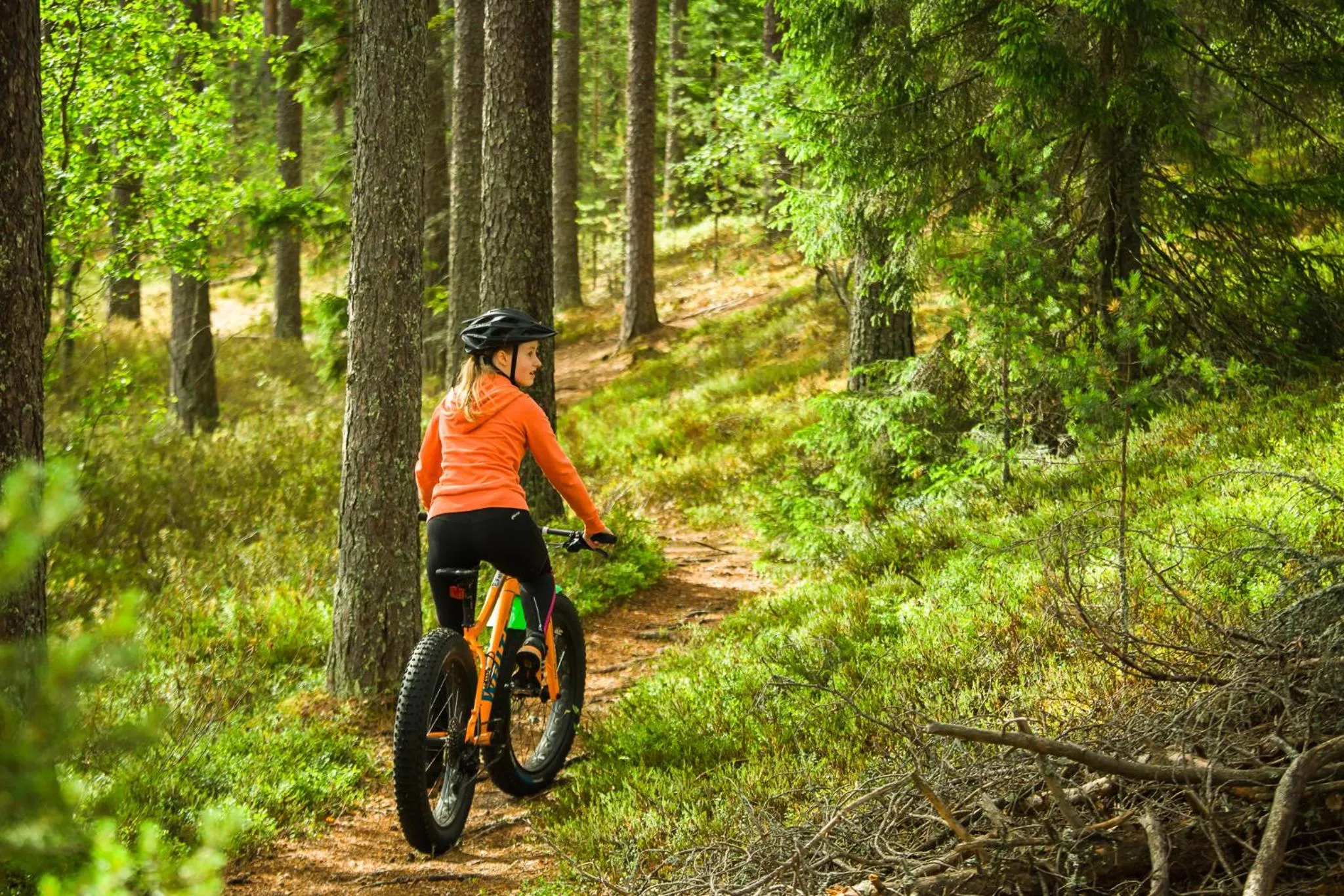 Activities in Lepaan Kartanon Toimela