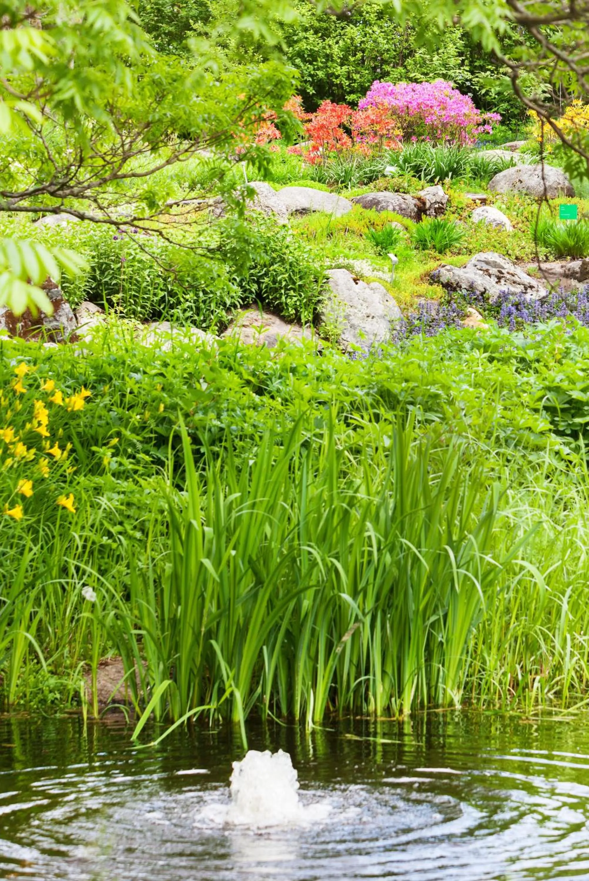 Neighbourhood in Lepaan Kartanon Toimela