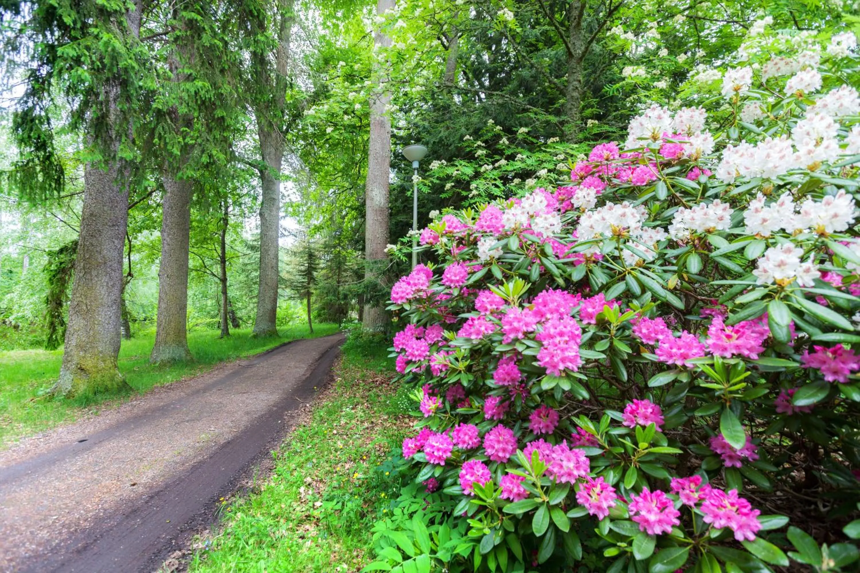 Neighbourhood in Lepaan Kartanon Toimela