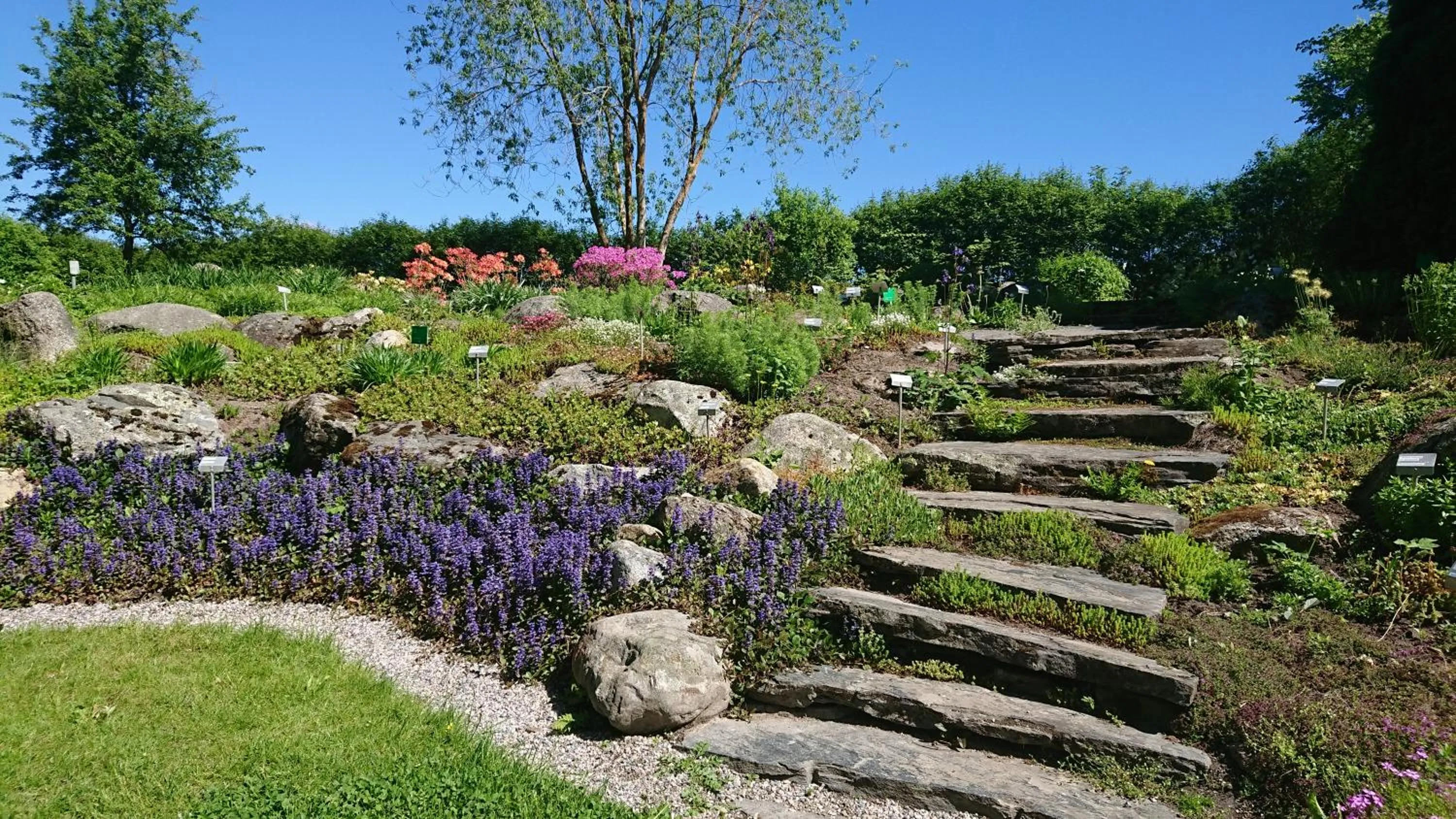 Day in Lepaan Kartanon Toimela