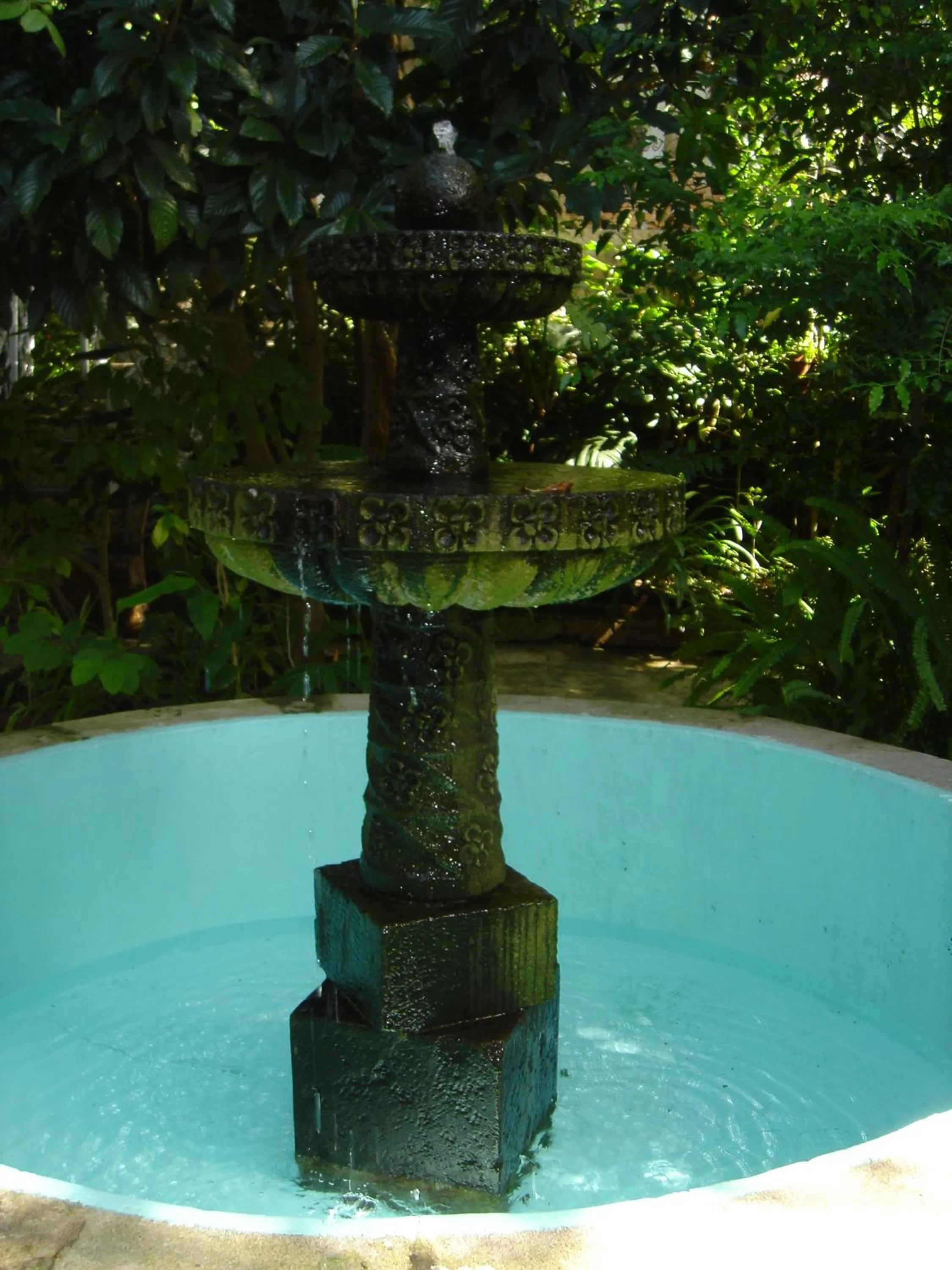 Garden in La Casona Breakfast & Wellness Center