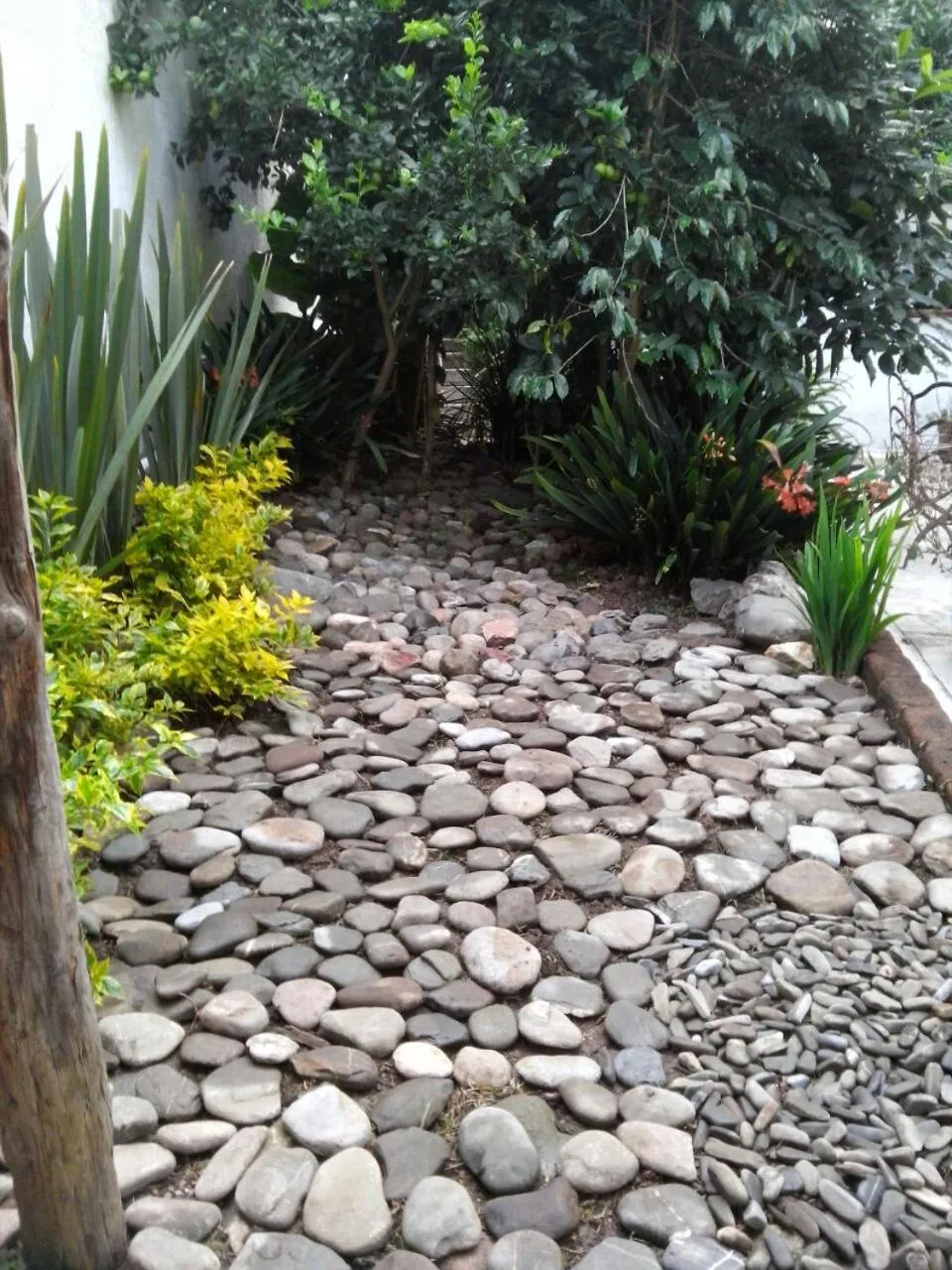 Garden in La Casona Breakfast & Wellness Center