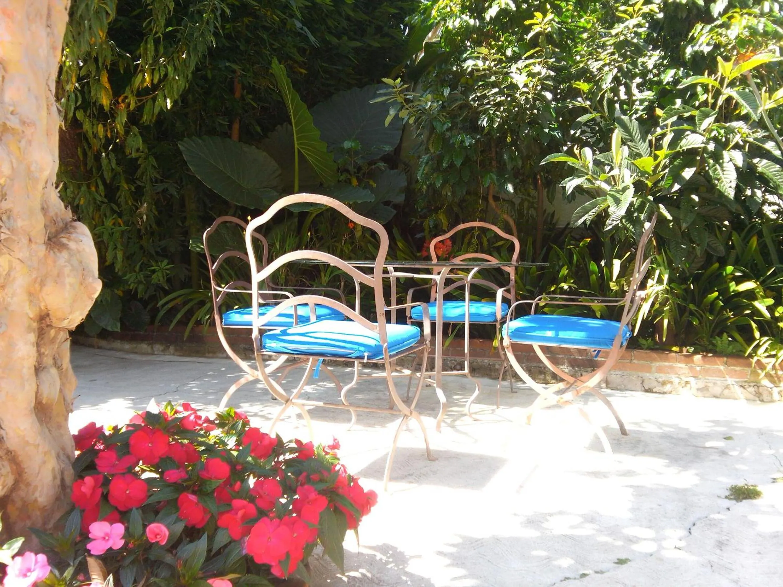 Lounge or bar in La Casona Breakfast & Wellness Center