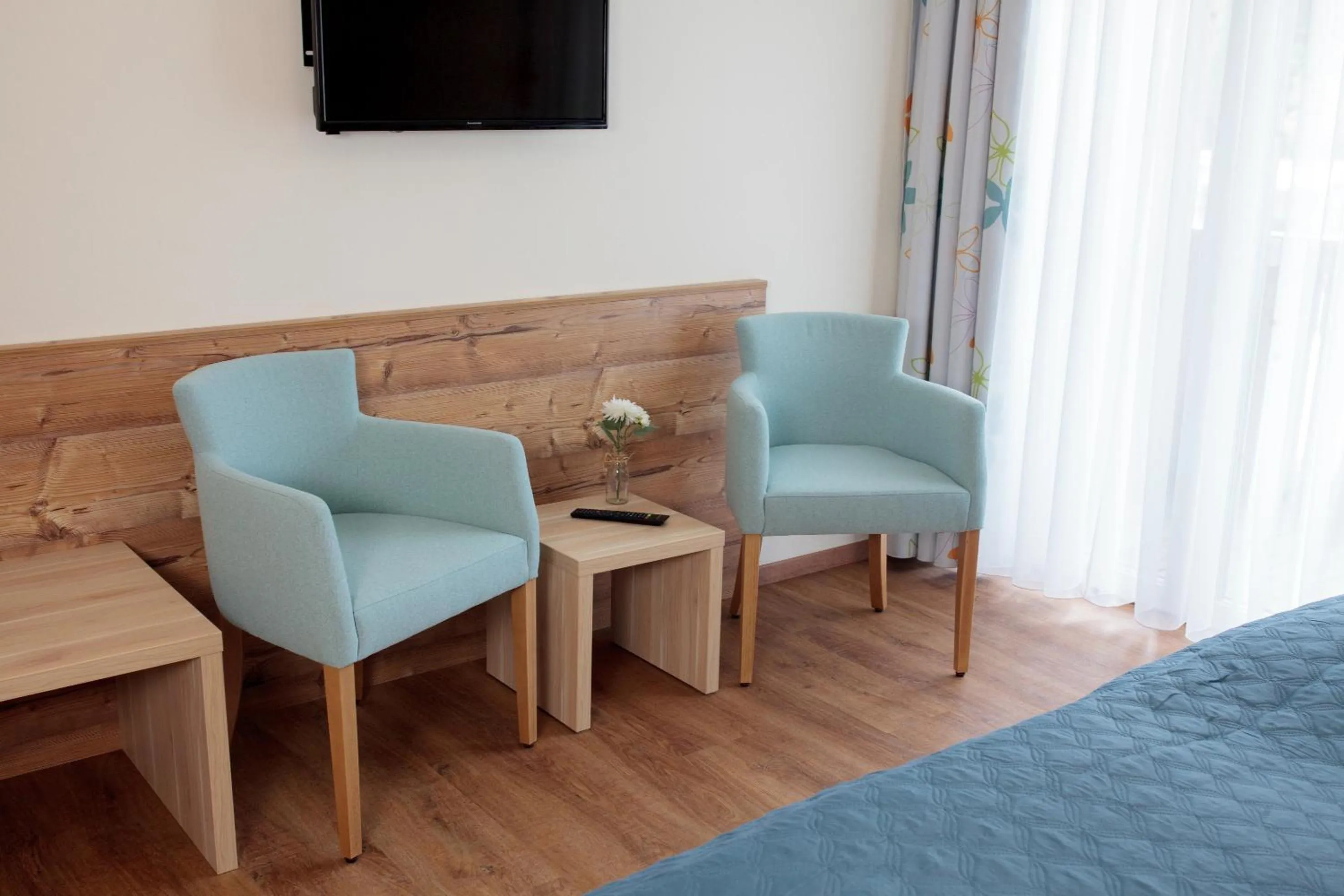 TV and multimedia in Pension Pirkdorfer See