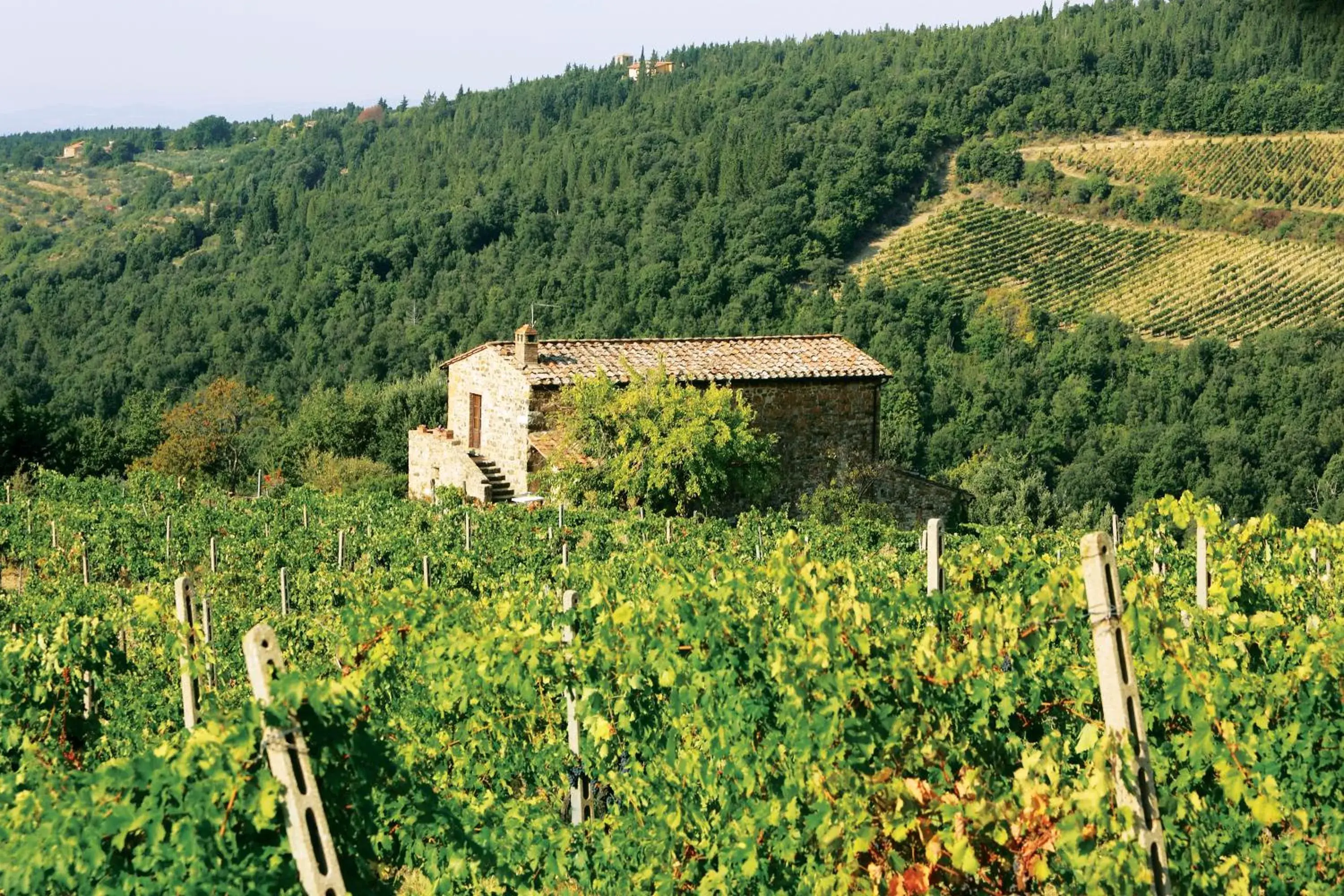 Agriturismo Piemaggino Agriturismo Piemaggino