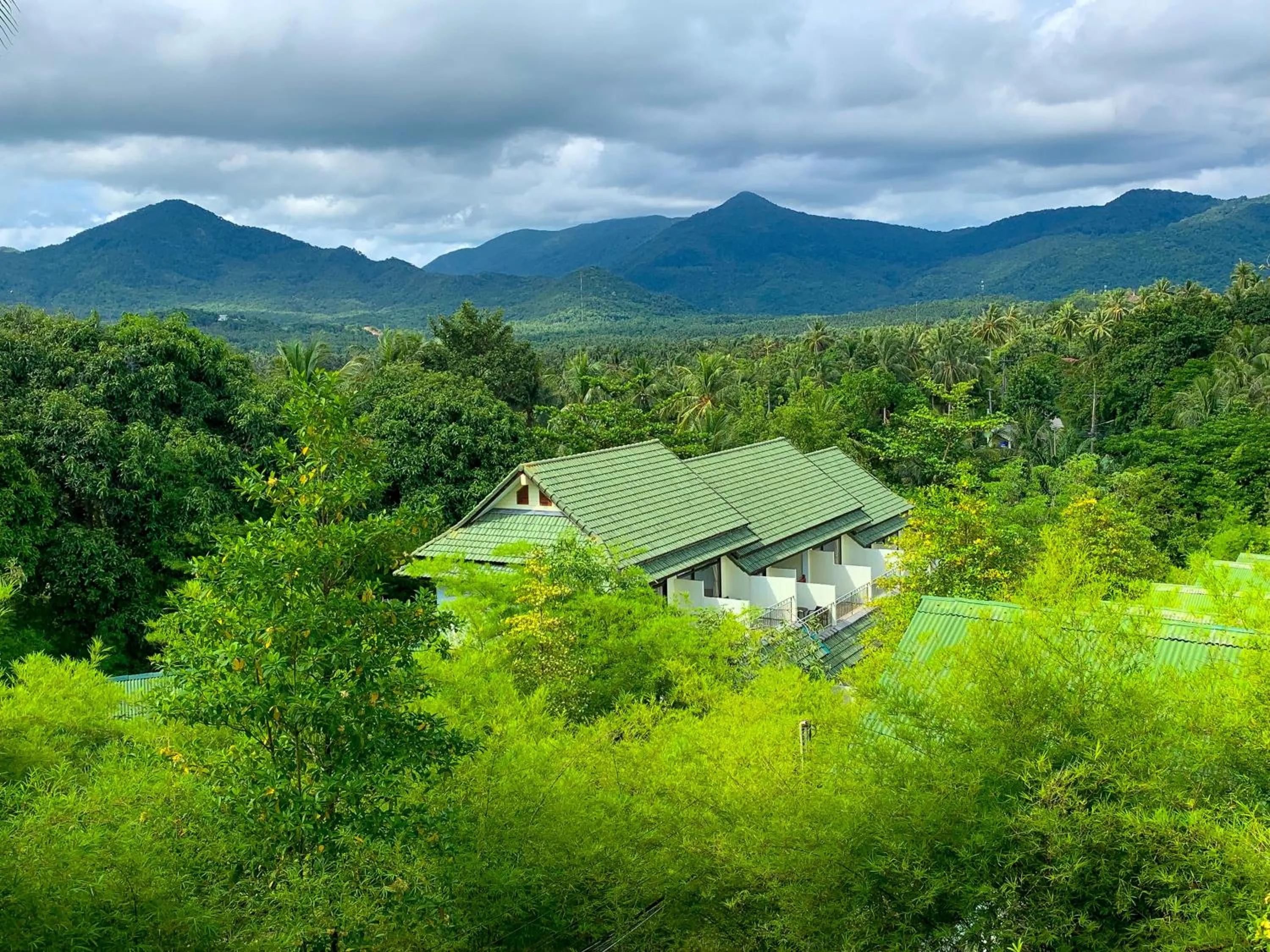 Day in Golden Hill Resort