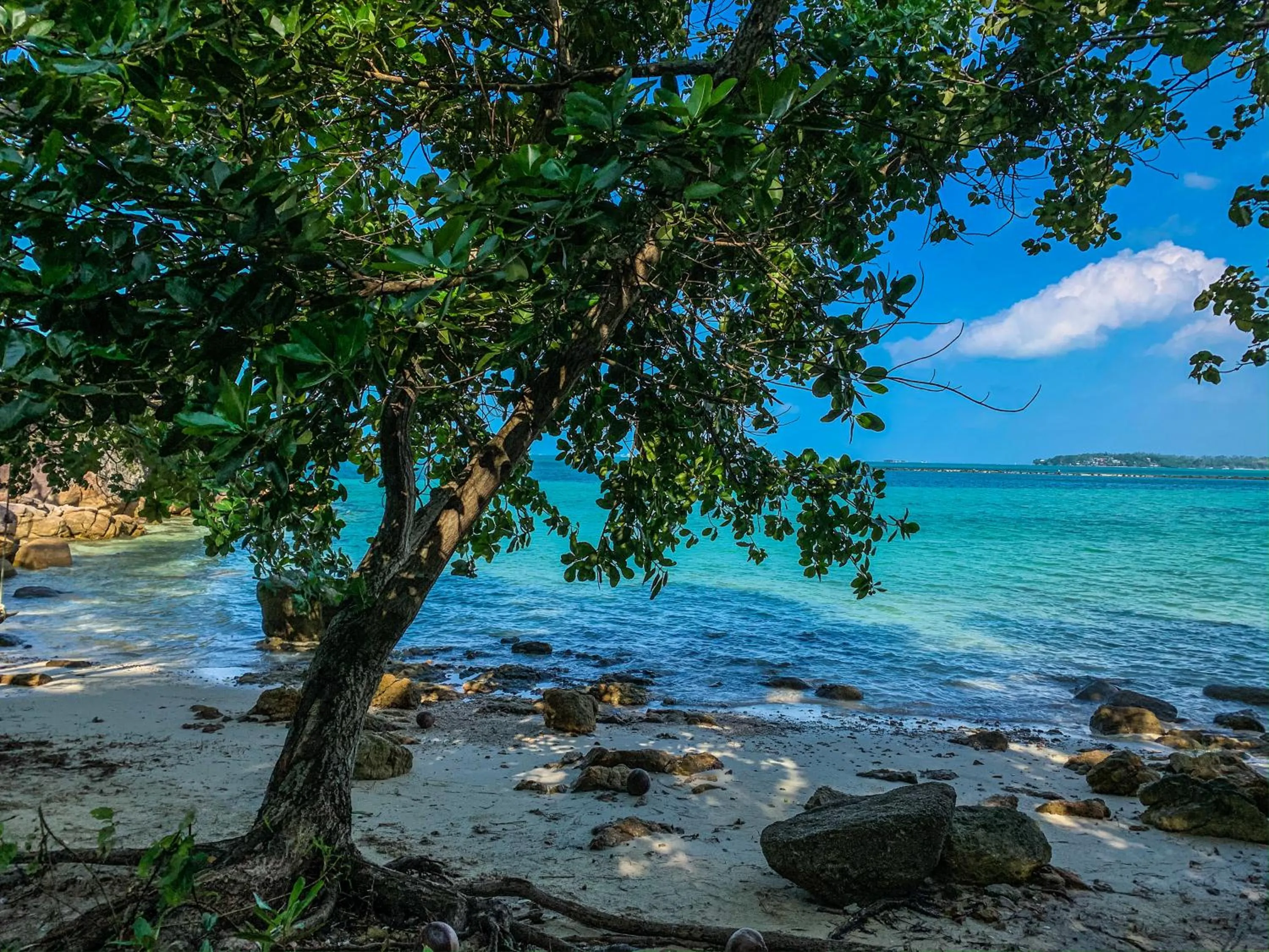 Natural landscape in Golden Hill Resort