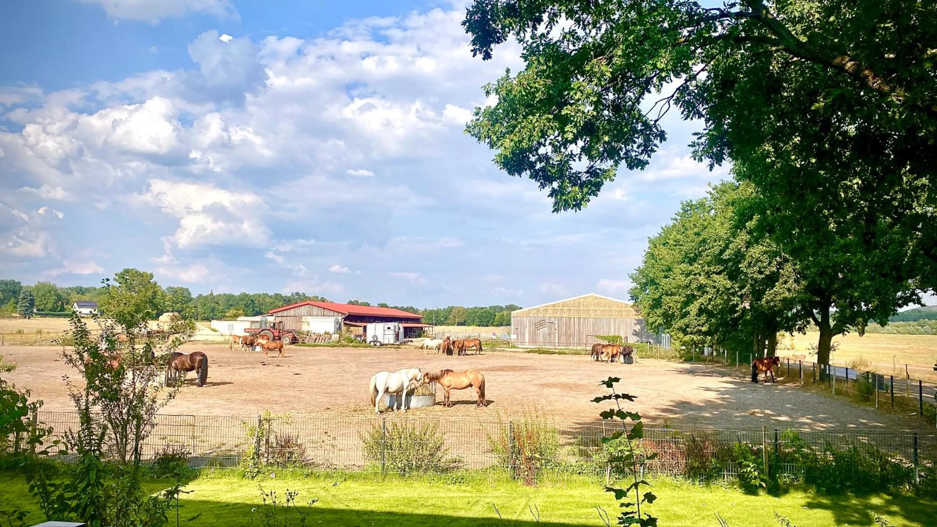 Staff in Hotel My Schildow