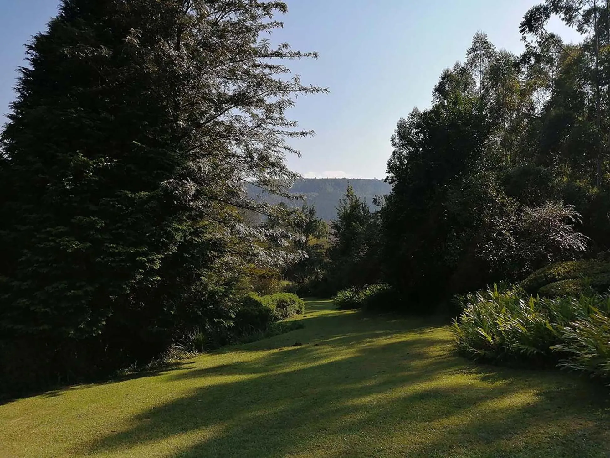 Garden in Sabie Star