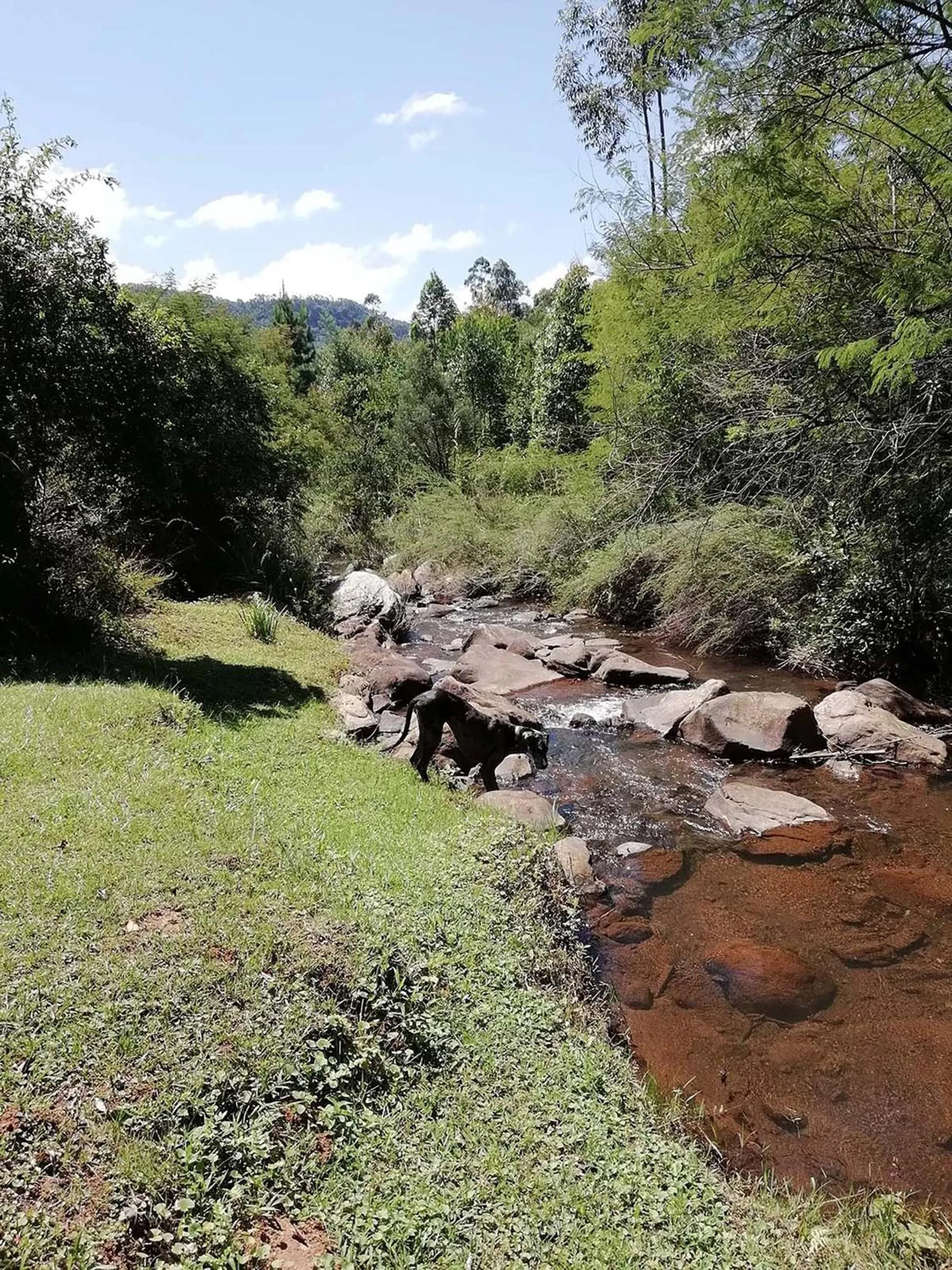Mountain view in Sabie Star