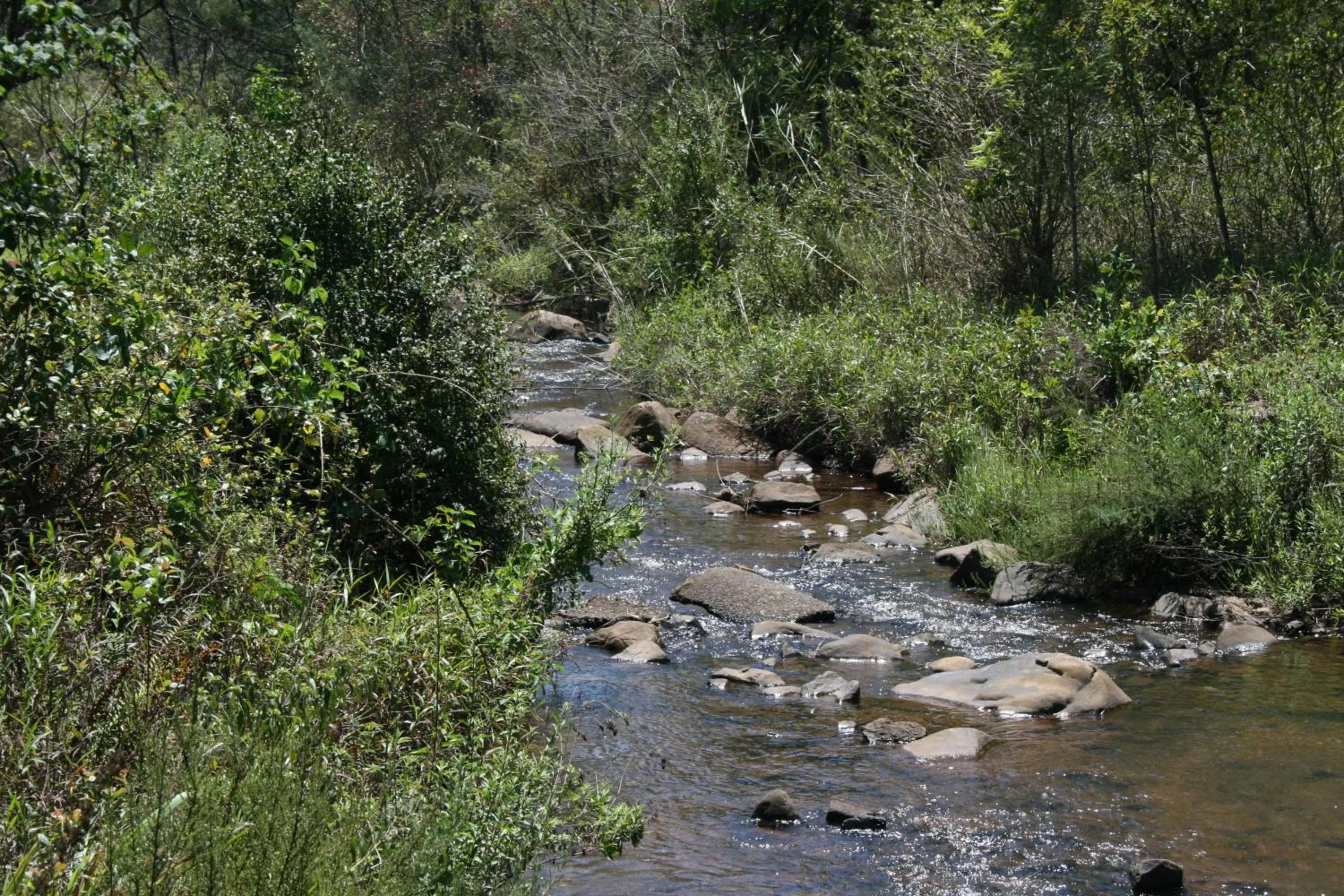 Natural landscape in Sabie Star