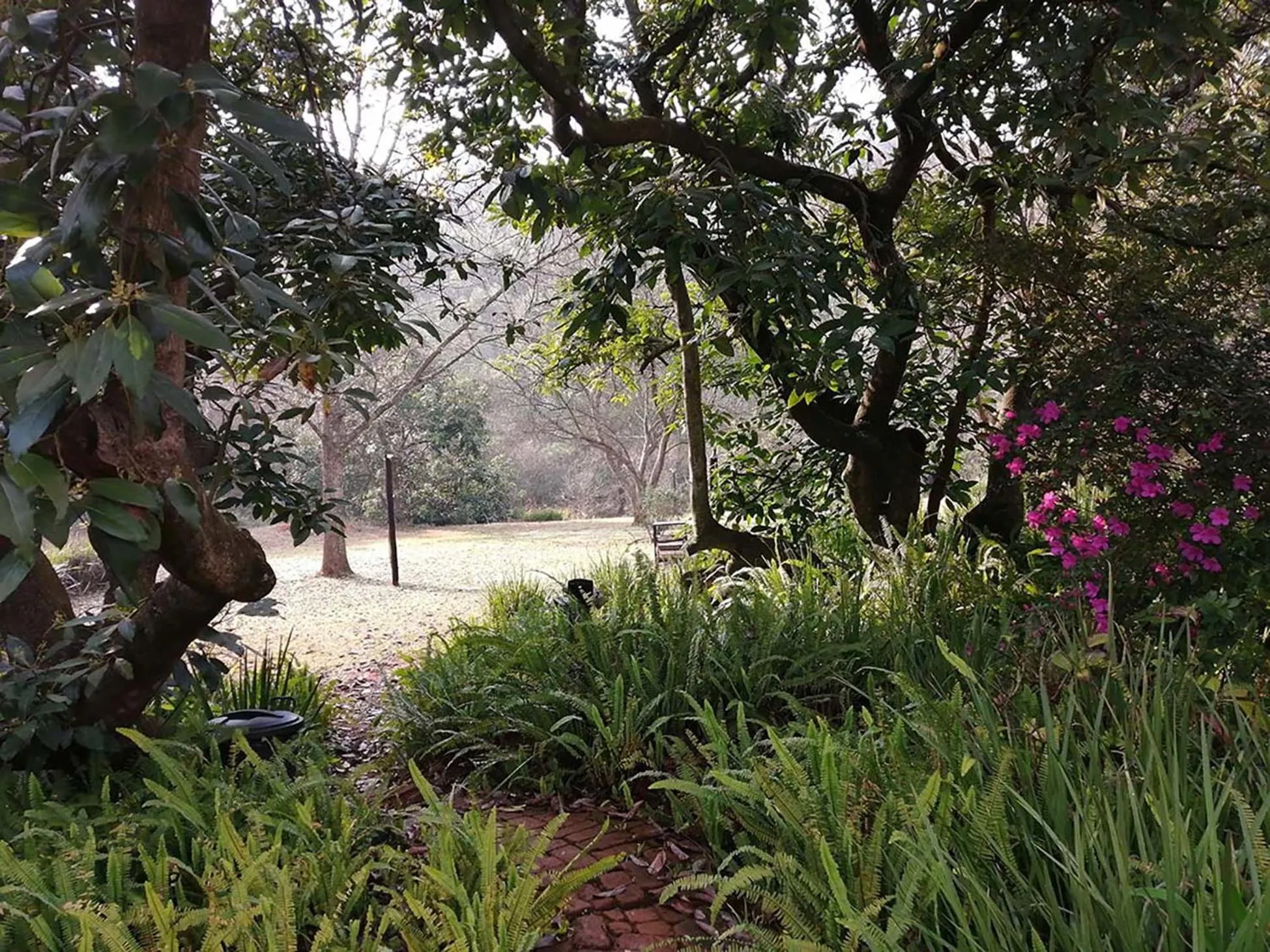 Garden in Sabie Star