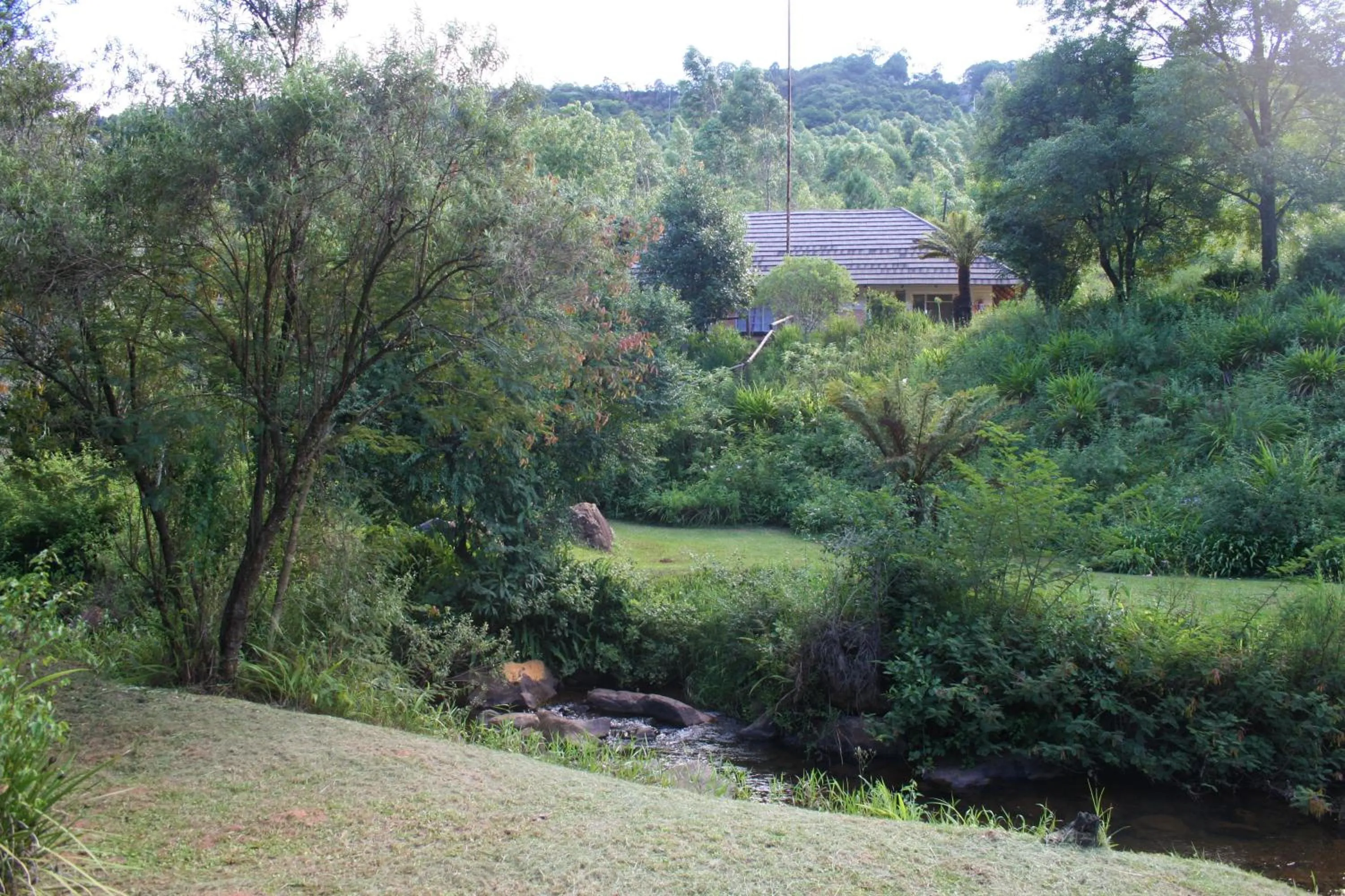 Property building in Sabie Star