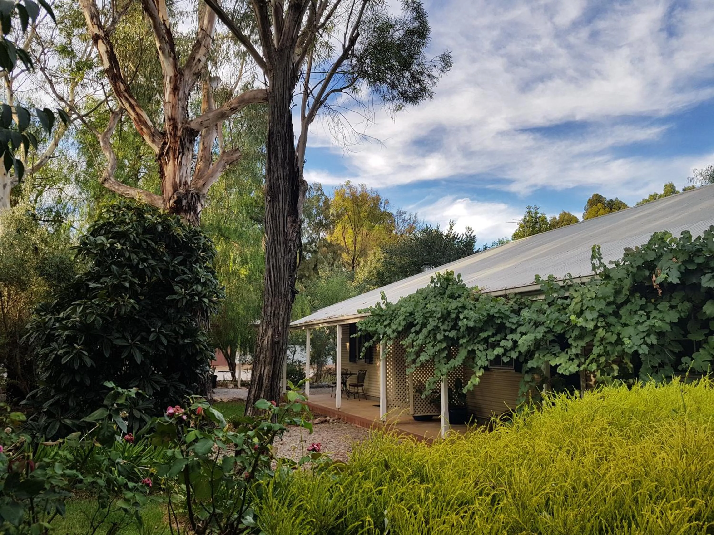 Garden in Amy's House Bed & Breakfast
