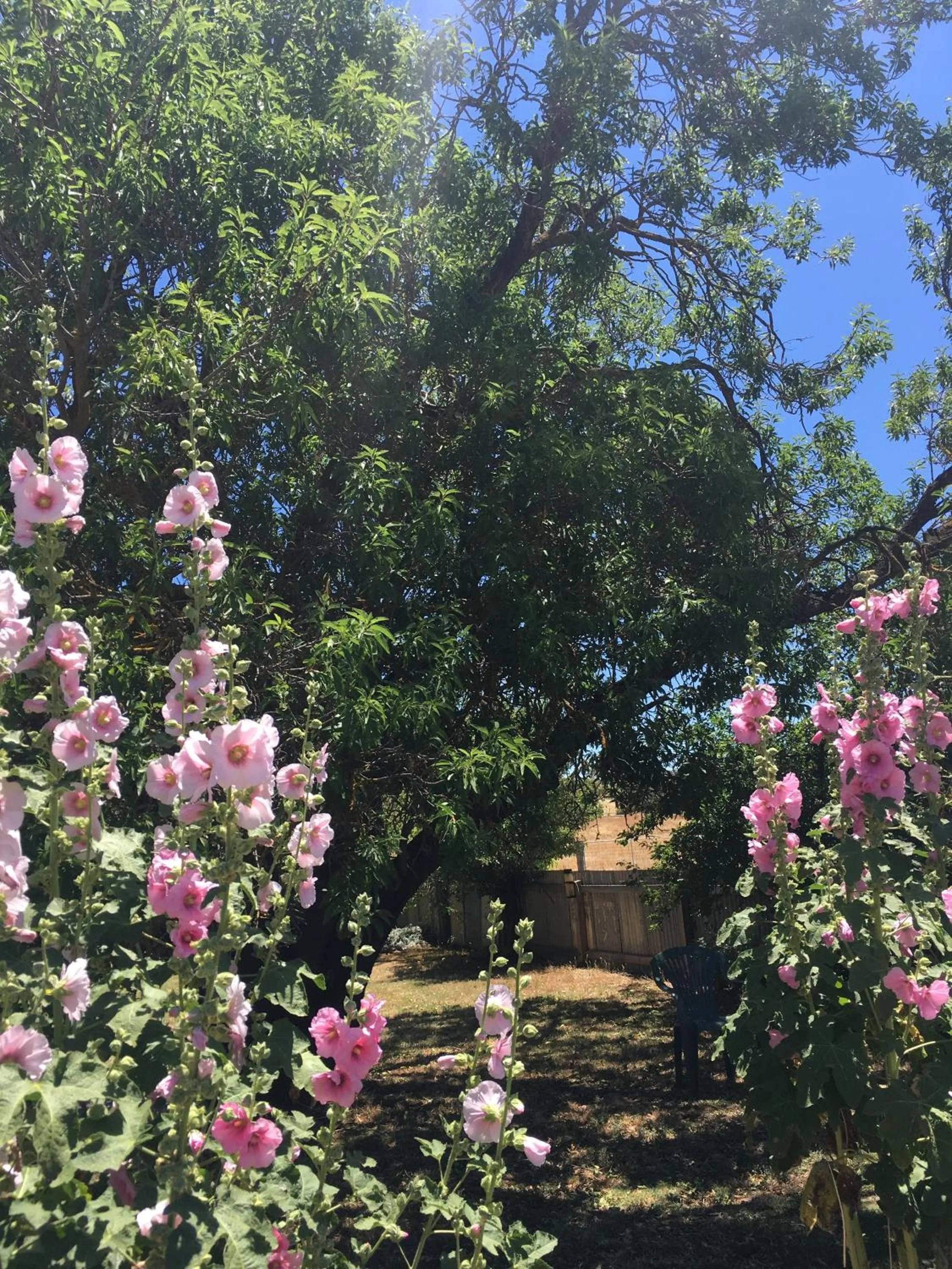 Amy's House Bed & Breakfast