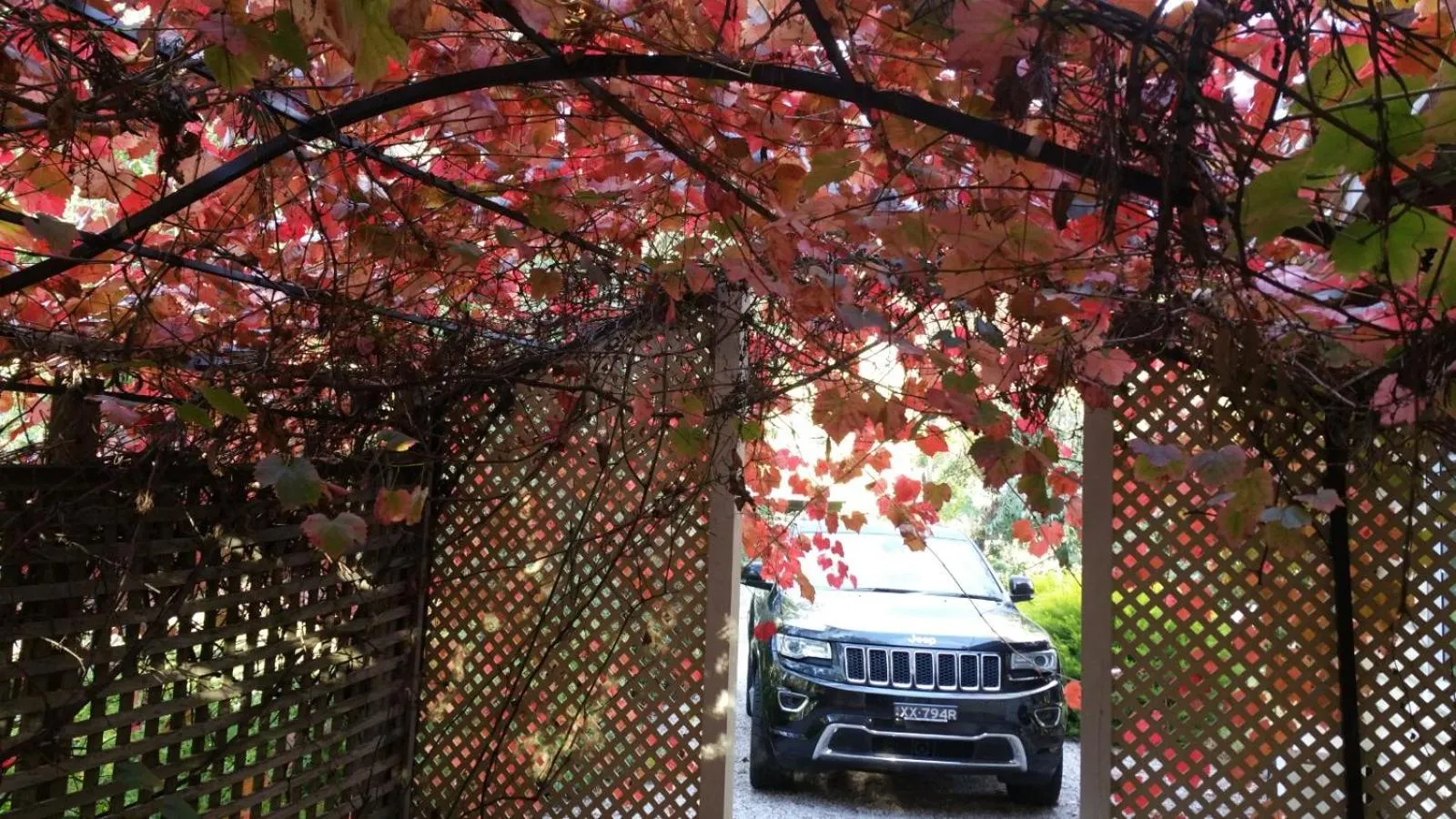 Amy's House Bed & Breakfast