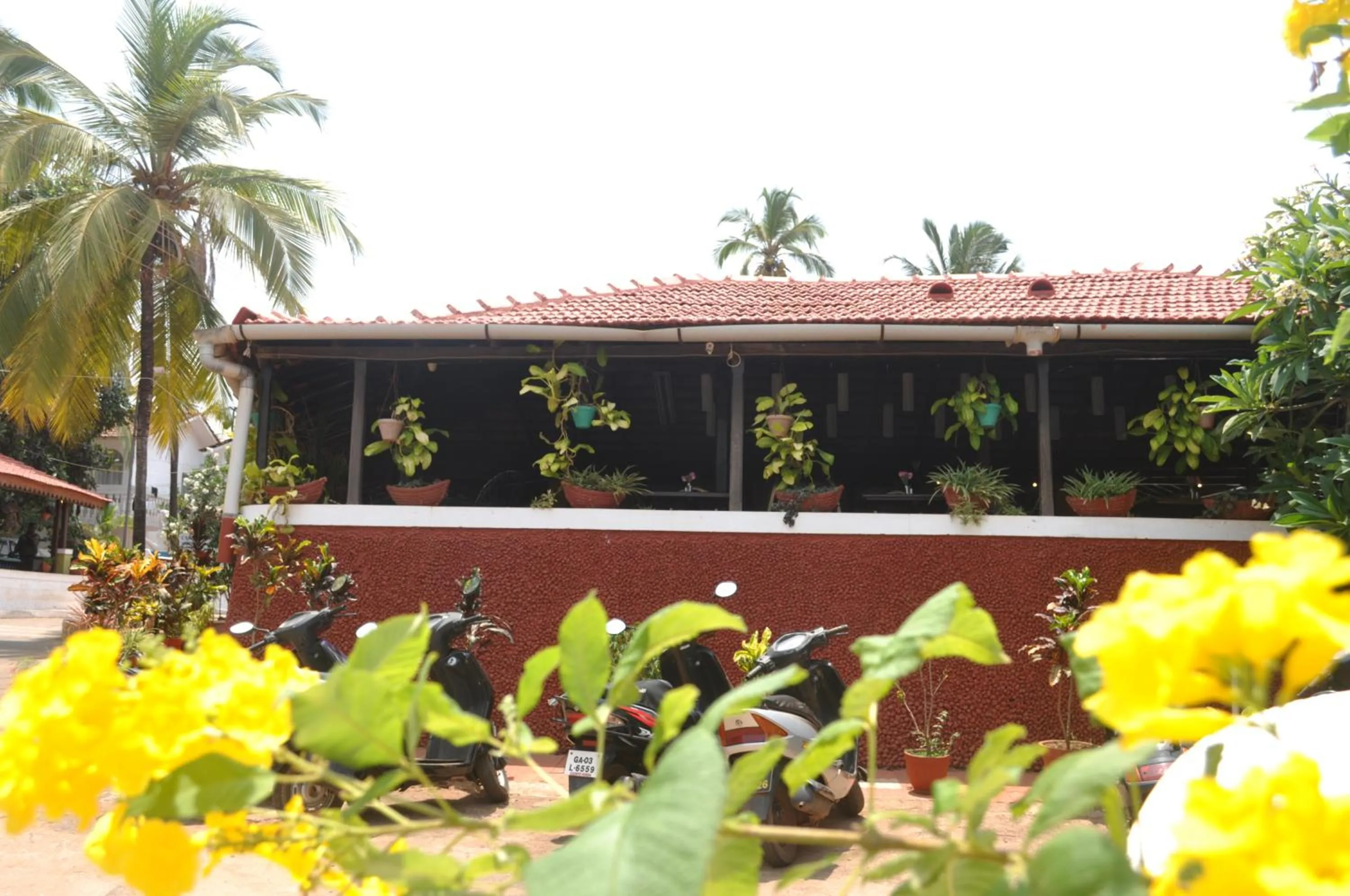 Day in Colonia Santa Maria