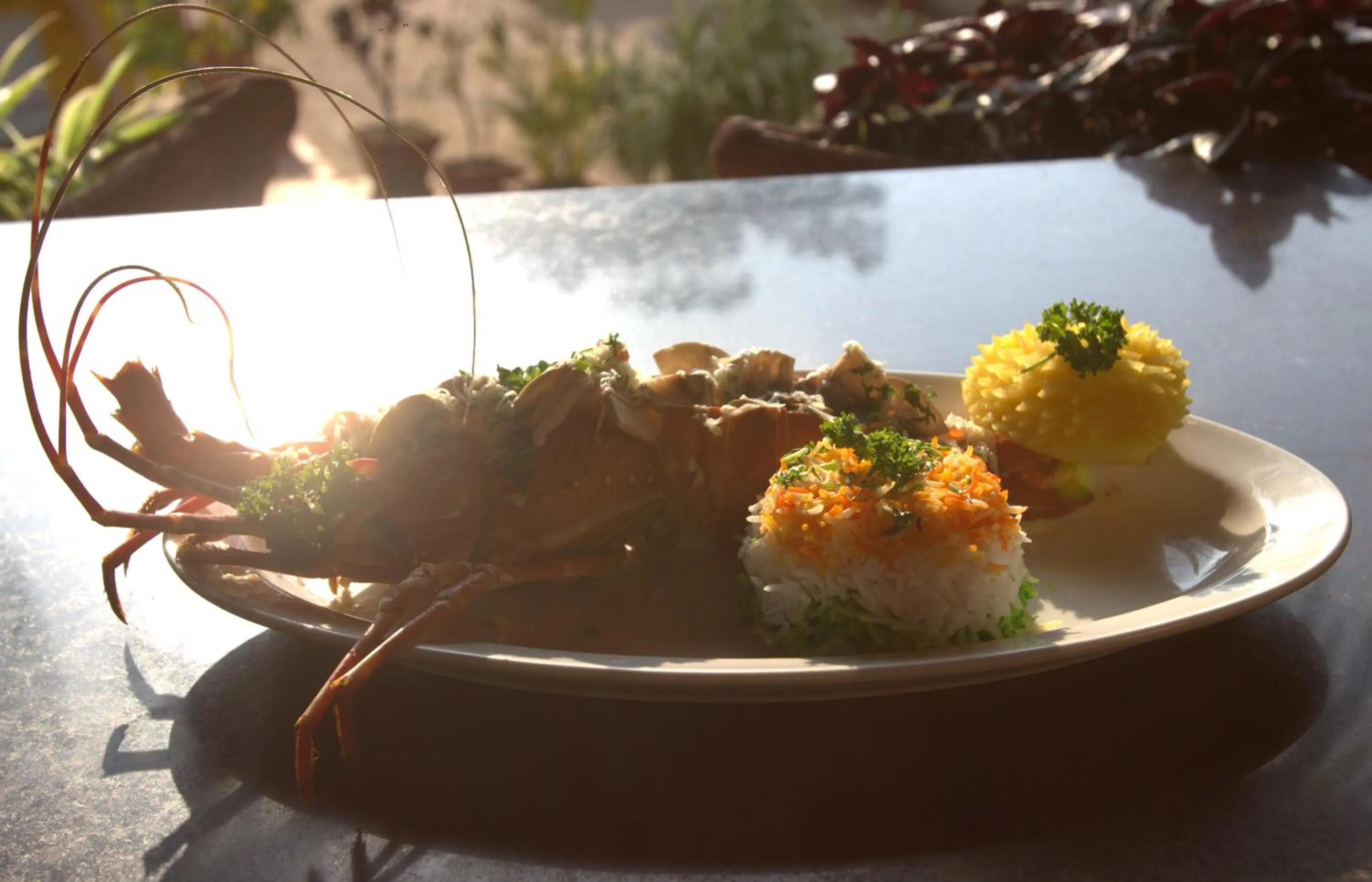 Food close-up in Colonia Santa Maria