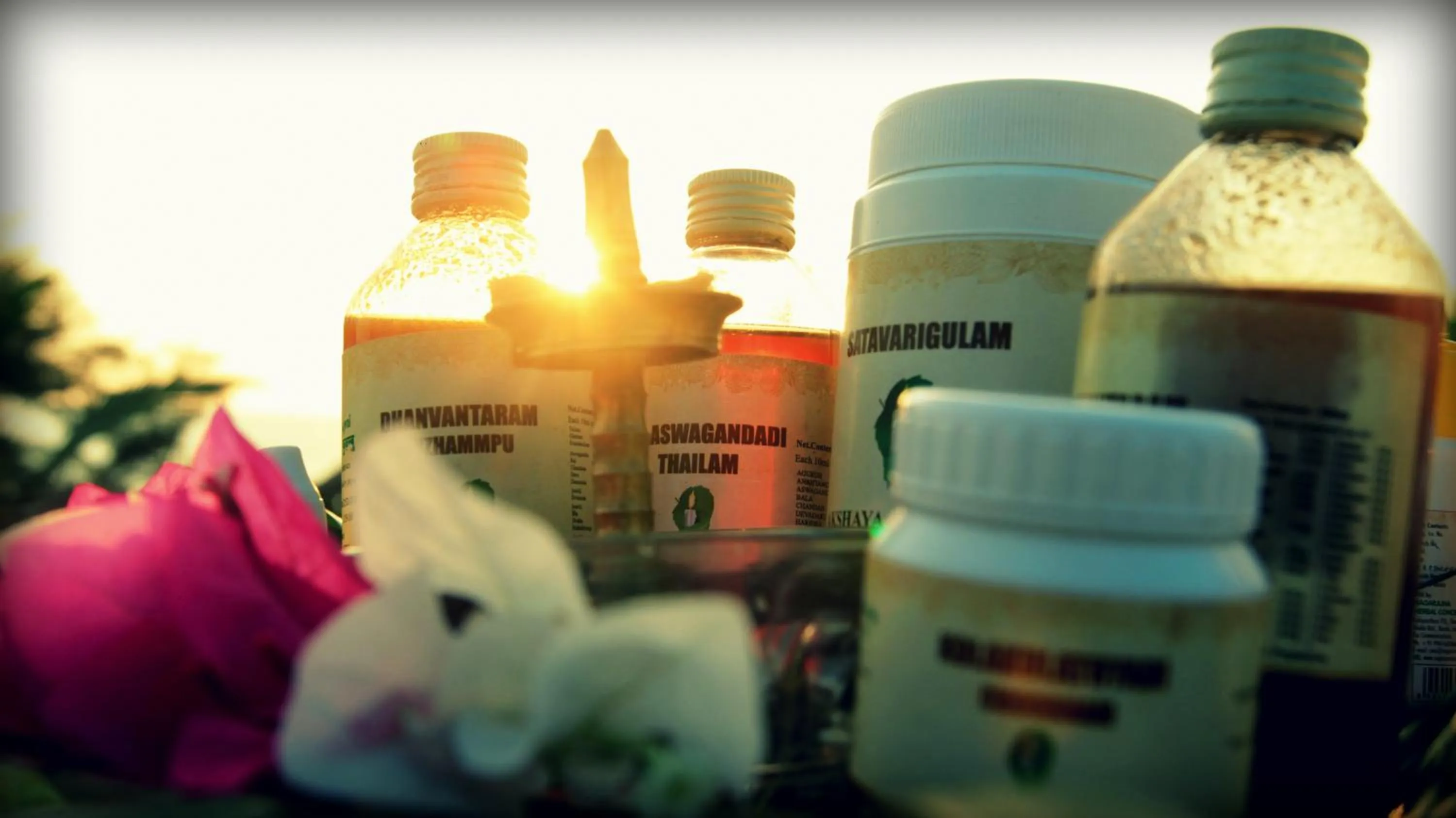 Other in Colonia Santa Maria