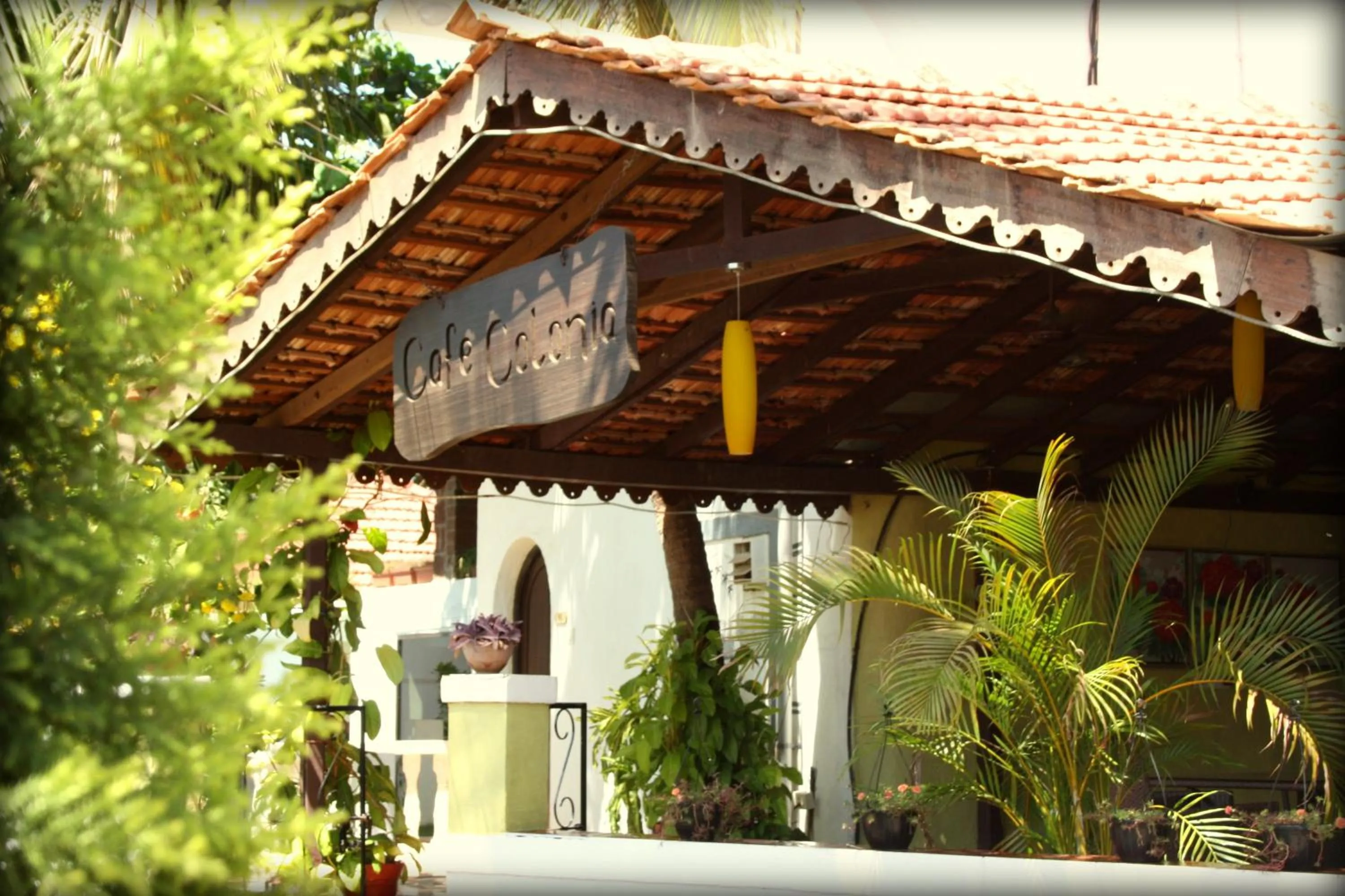 Decorative detail in Colonia Santa Maria