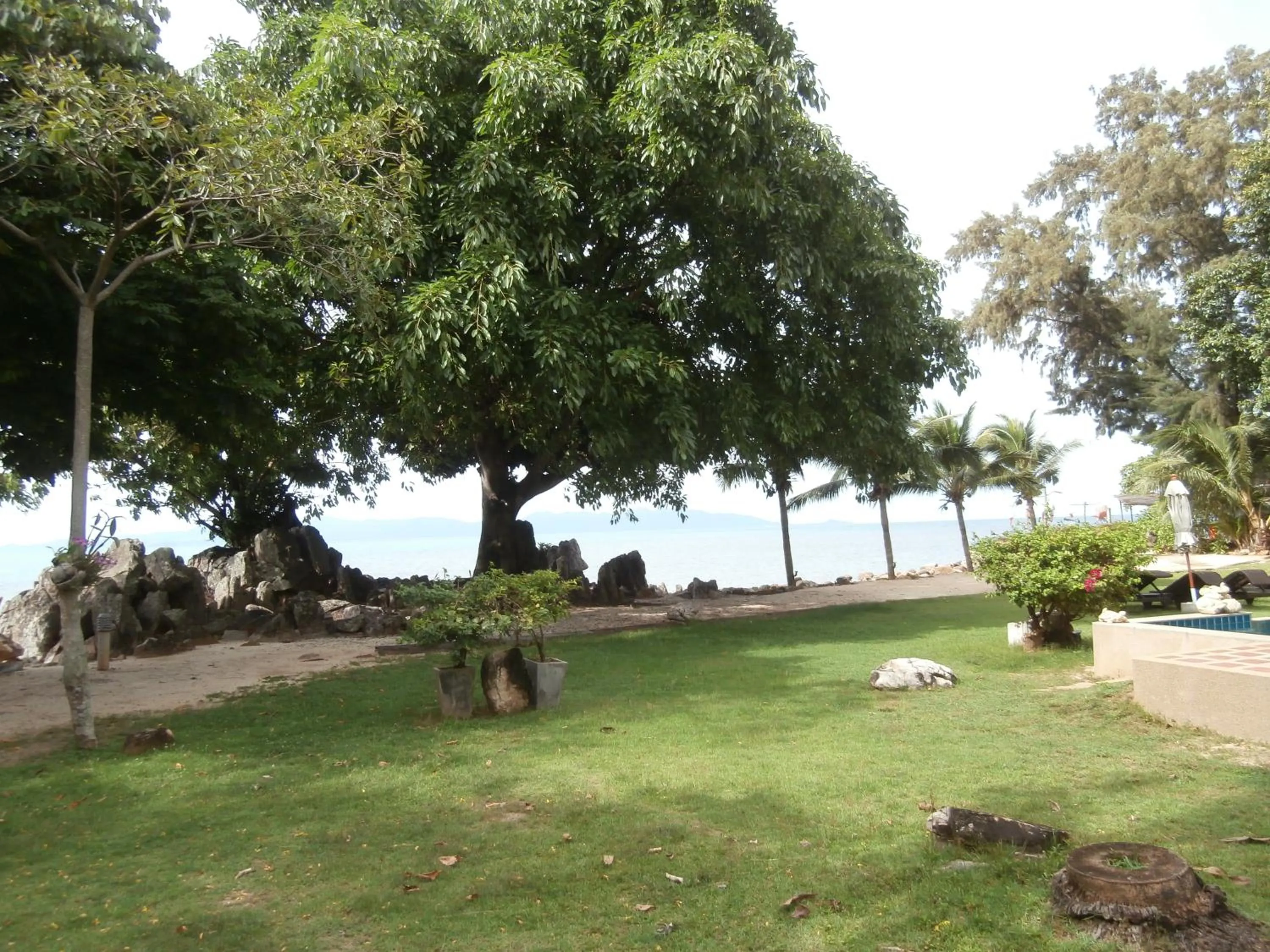 Natural landscape in Baan Laem Noi Villa's