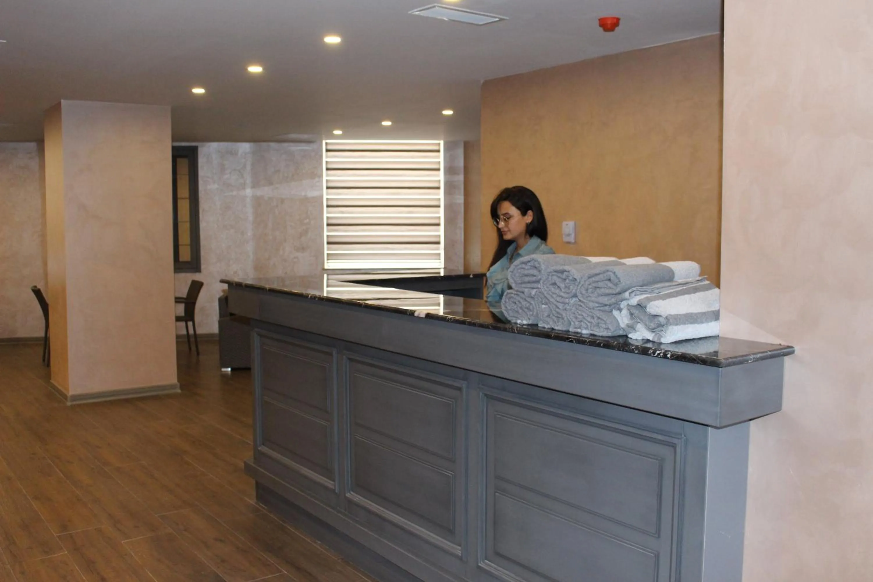 Lobby or reception in Sky Hotel Baku