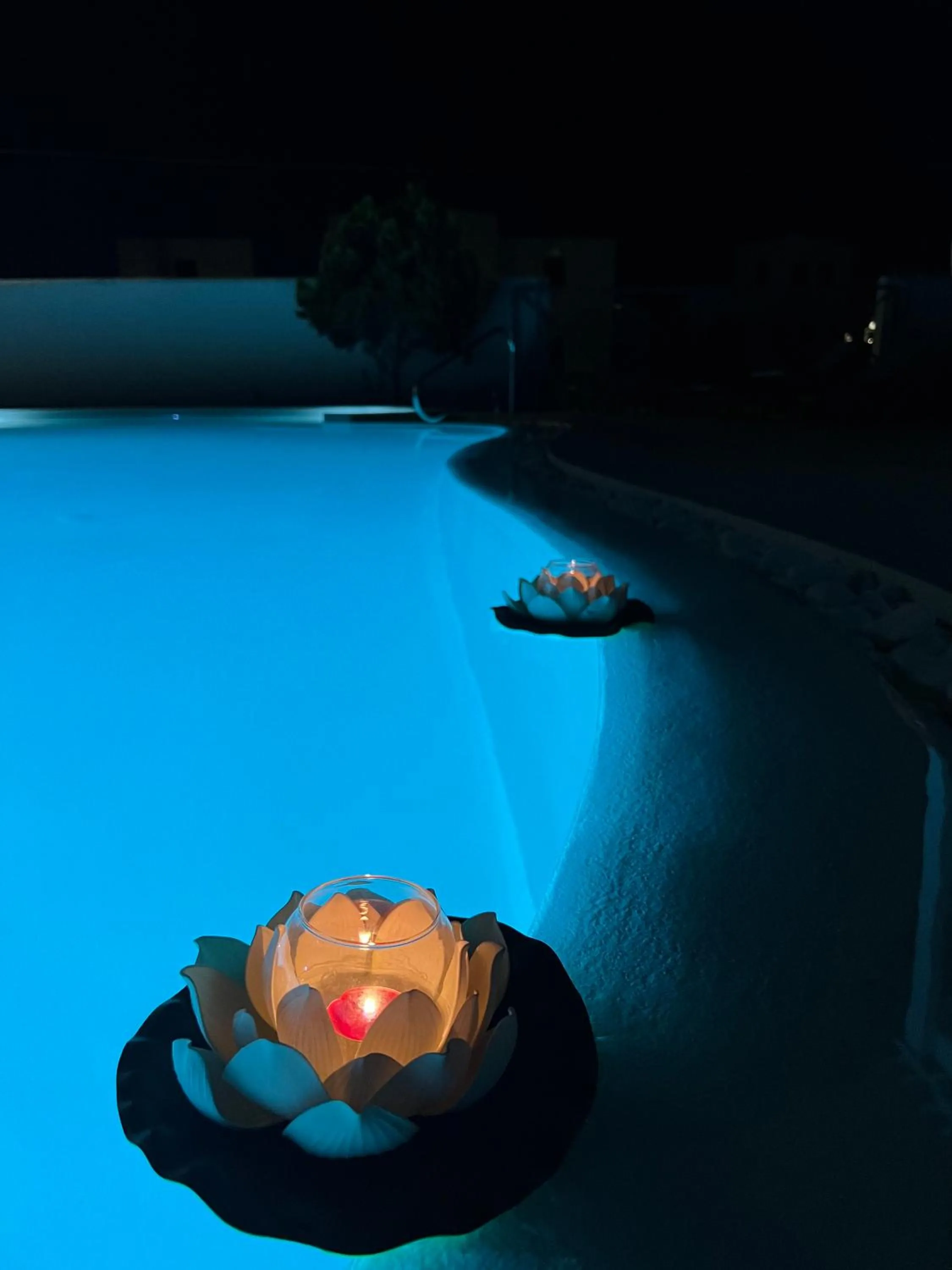 Swimming pool in Santo Margarita