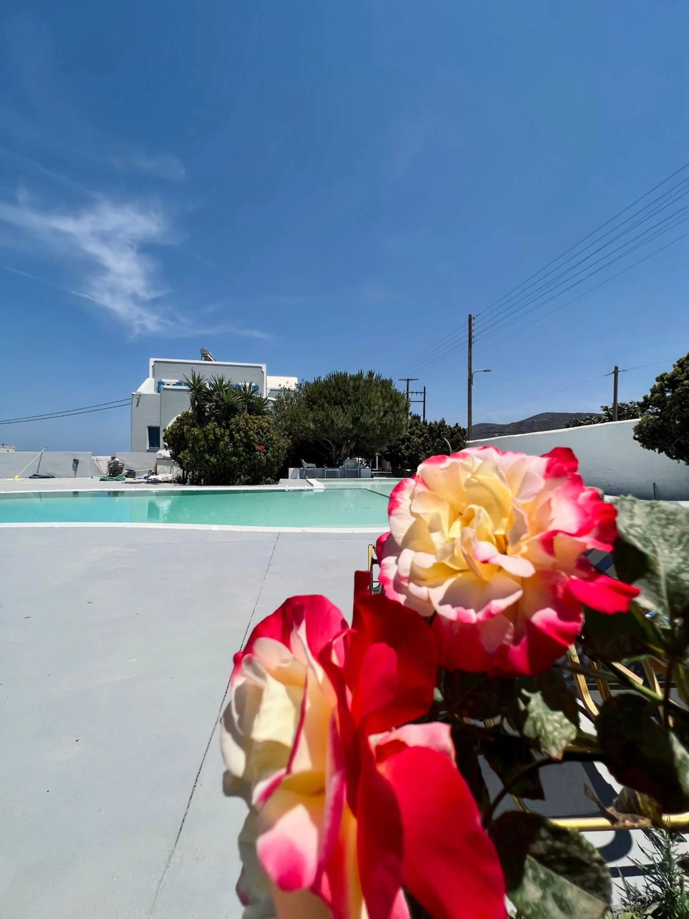 Swimming pool in Santo Margarita