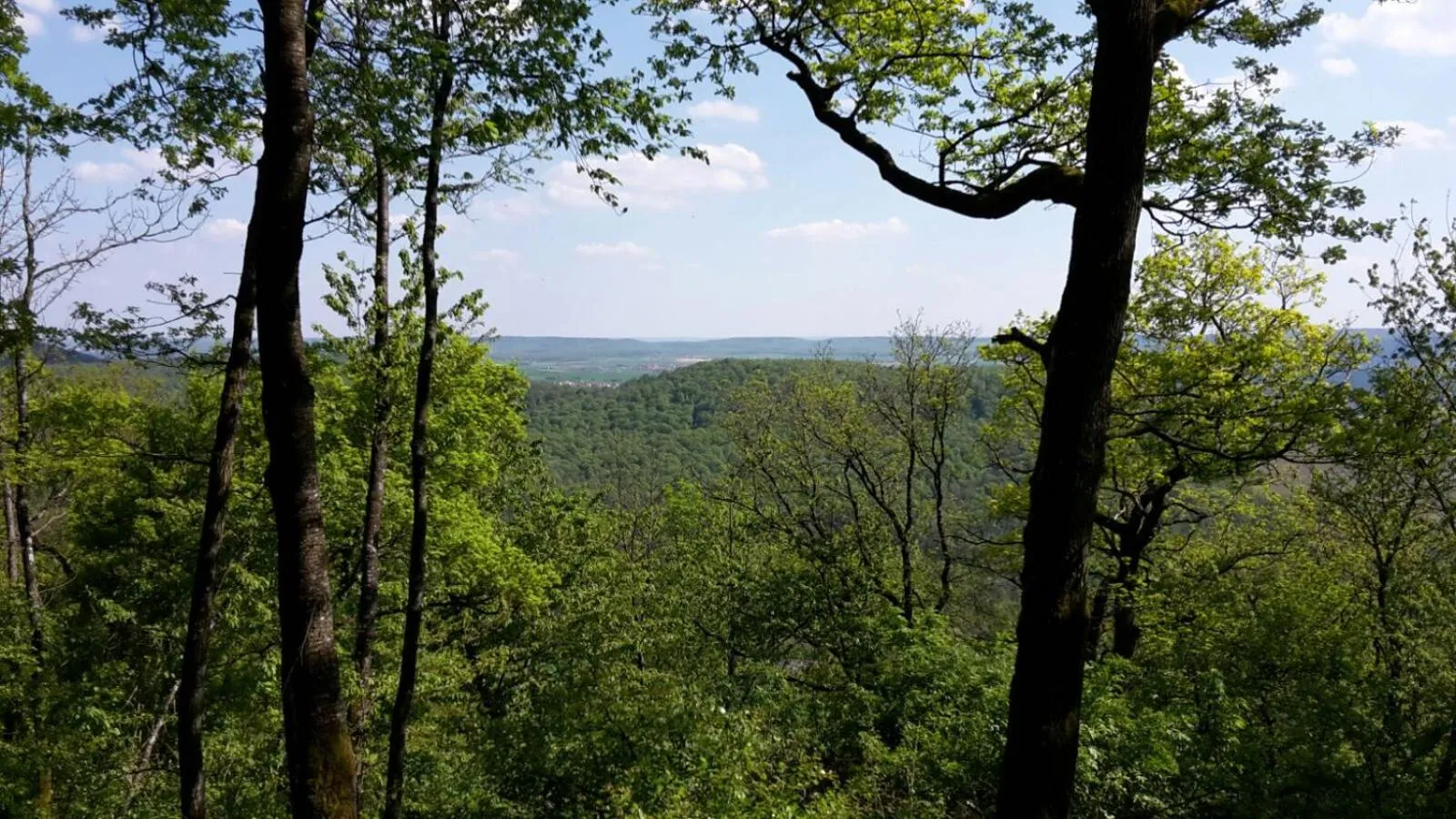Hiking in Hotel am Schwanberg