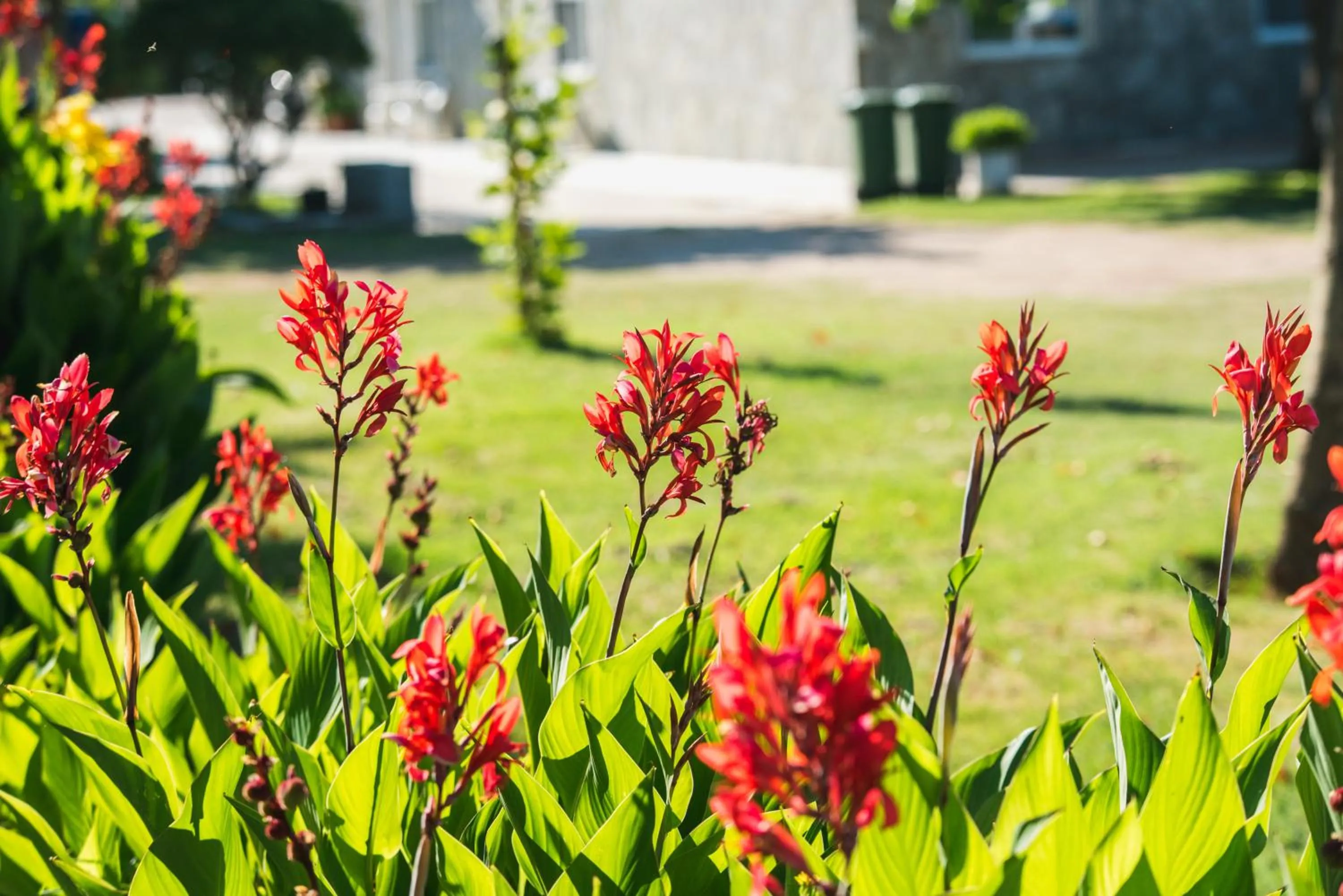 Natural landscape in Santa Rosa Hotel & Beach
