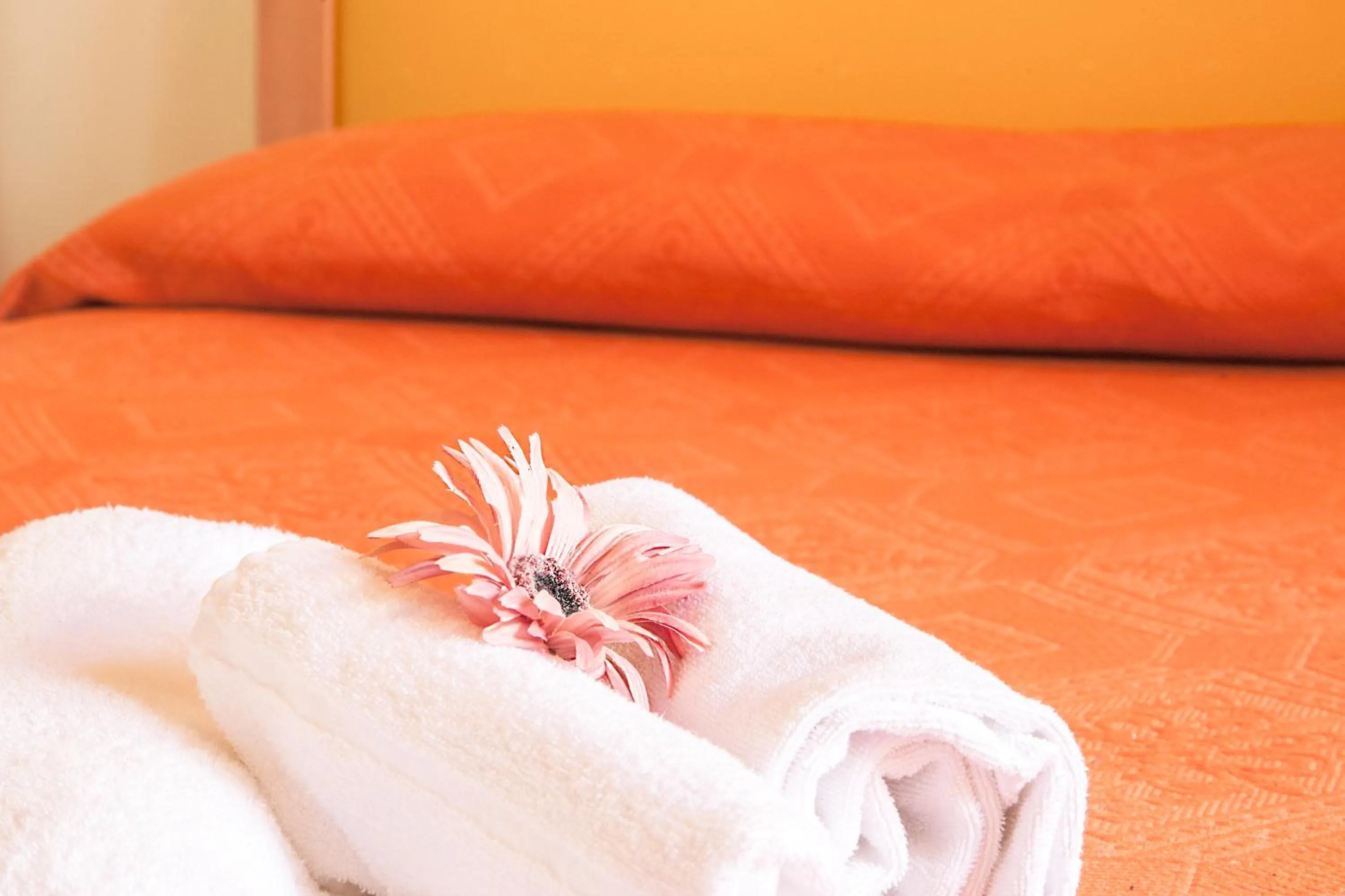 Decorative detail, Bed in Blu Hotel