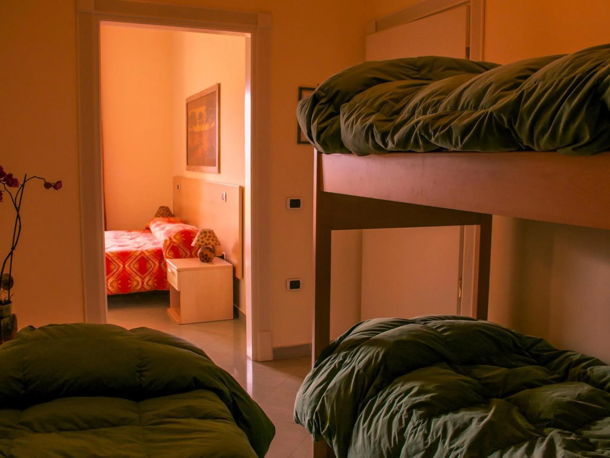 bunk bed, Bed in Blu Hotel