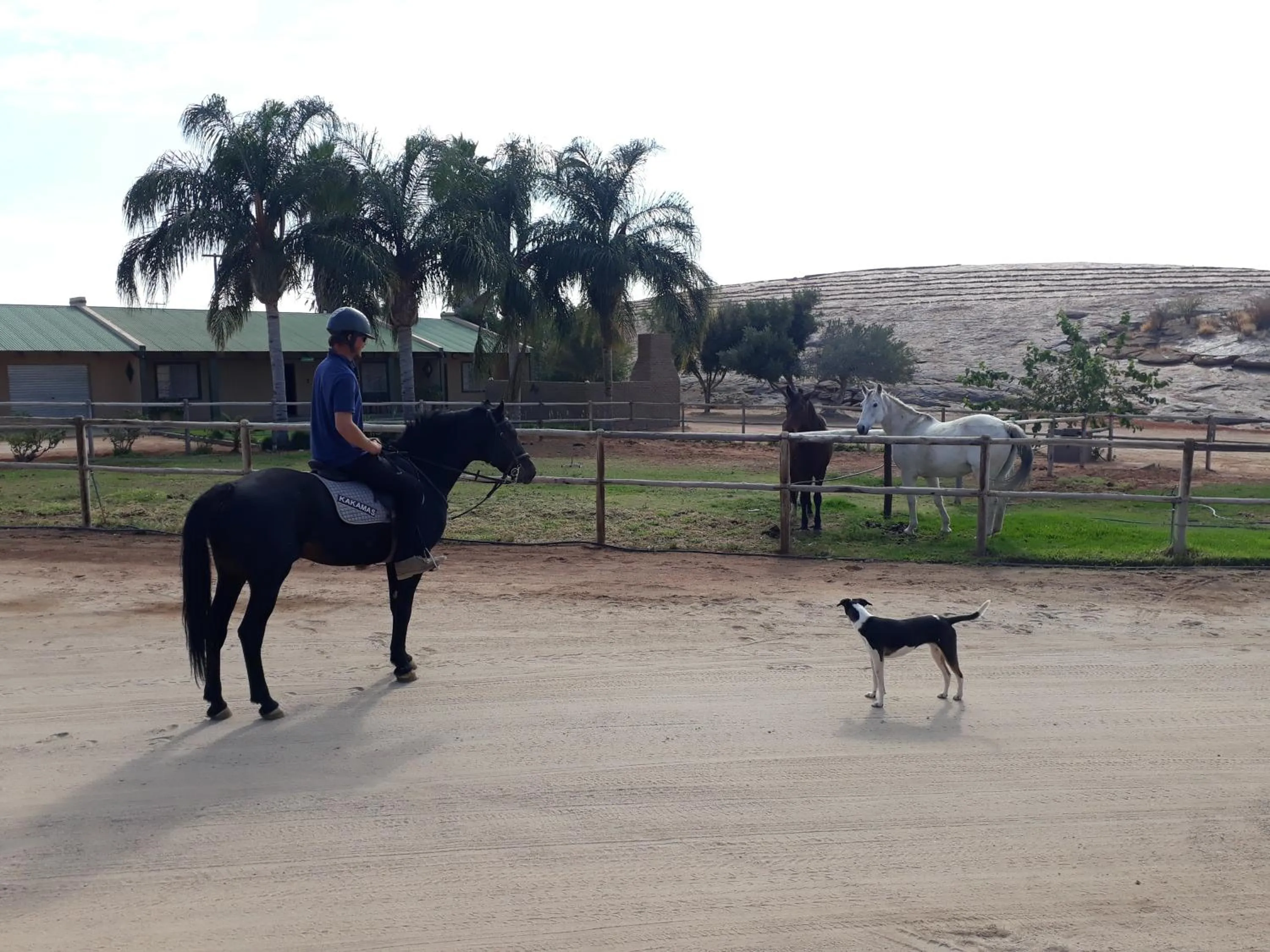 People in Augrabies De Oude Stoor Guesthouse