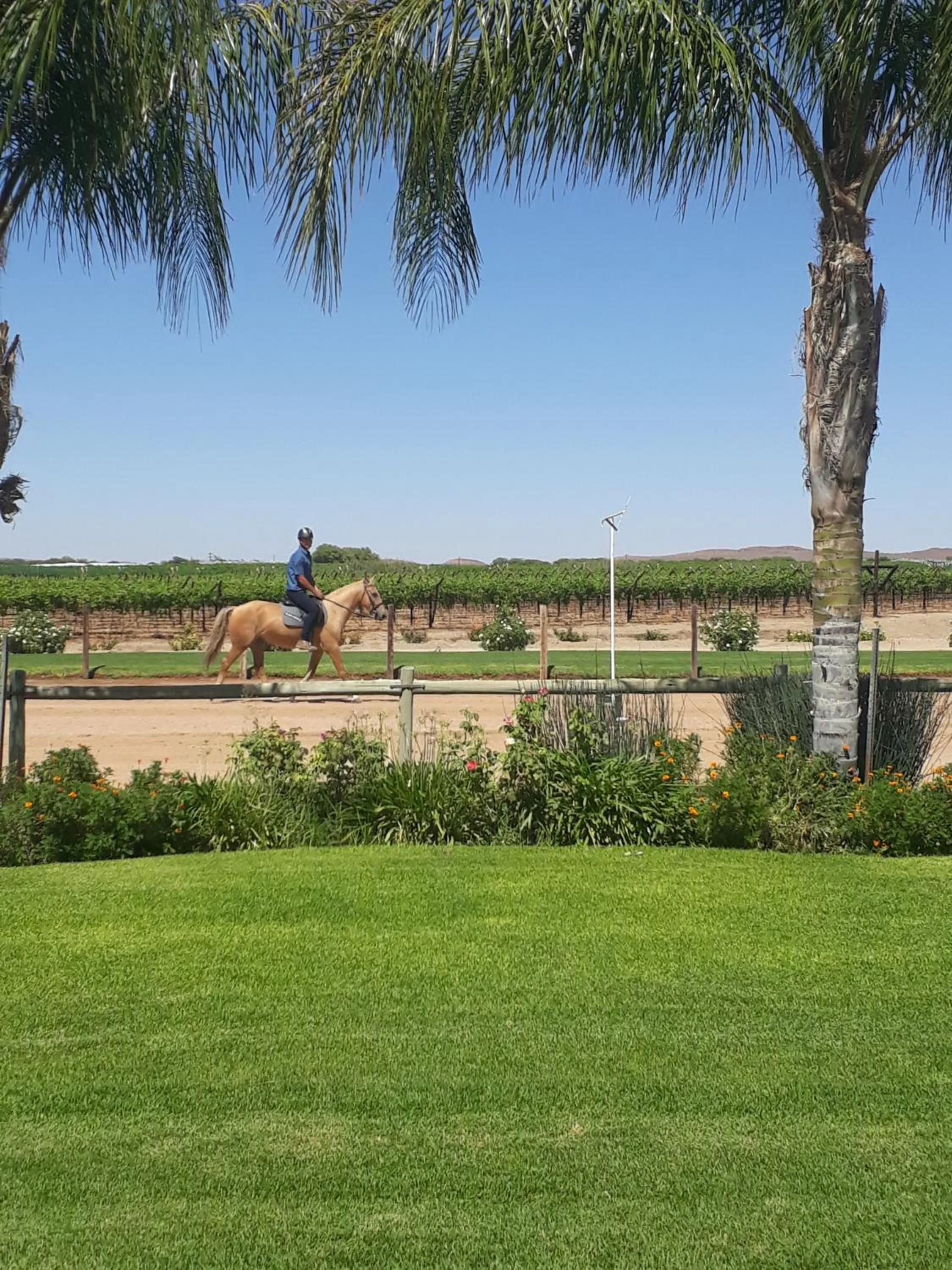 Augrabies De Oude Stoor Guesthouse