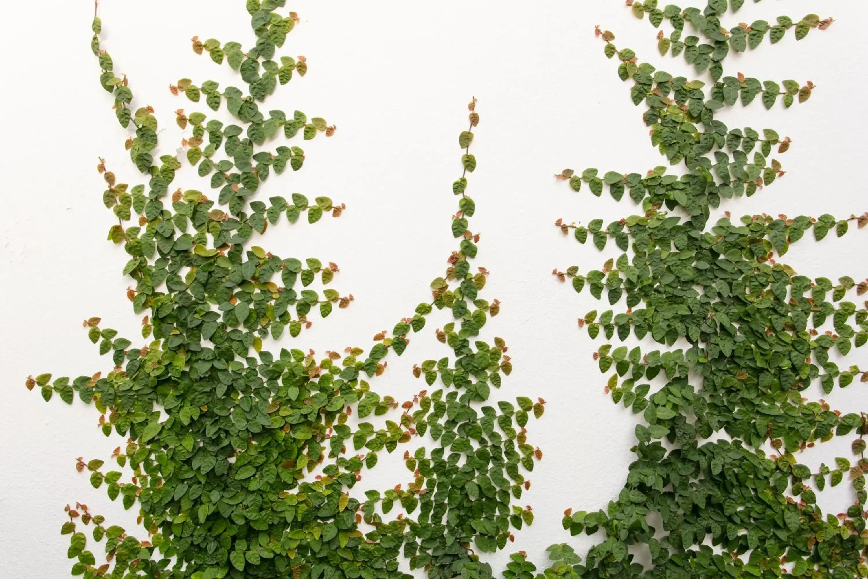 Property building in Menlyn Apartments Property building in Menlyn Apartments