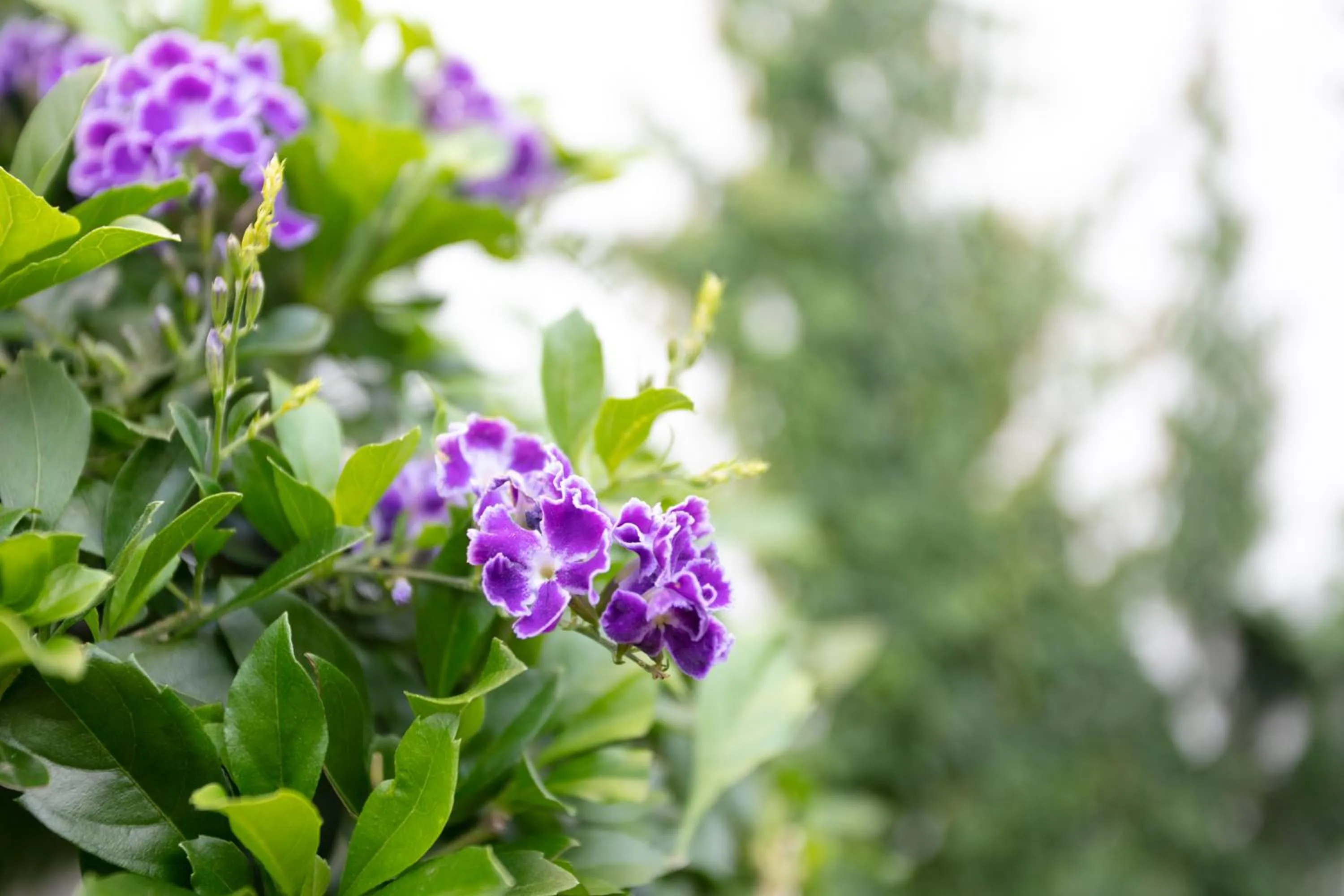 Property building in Menlyn Apartments