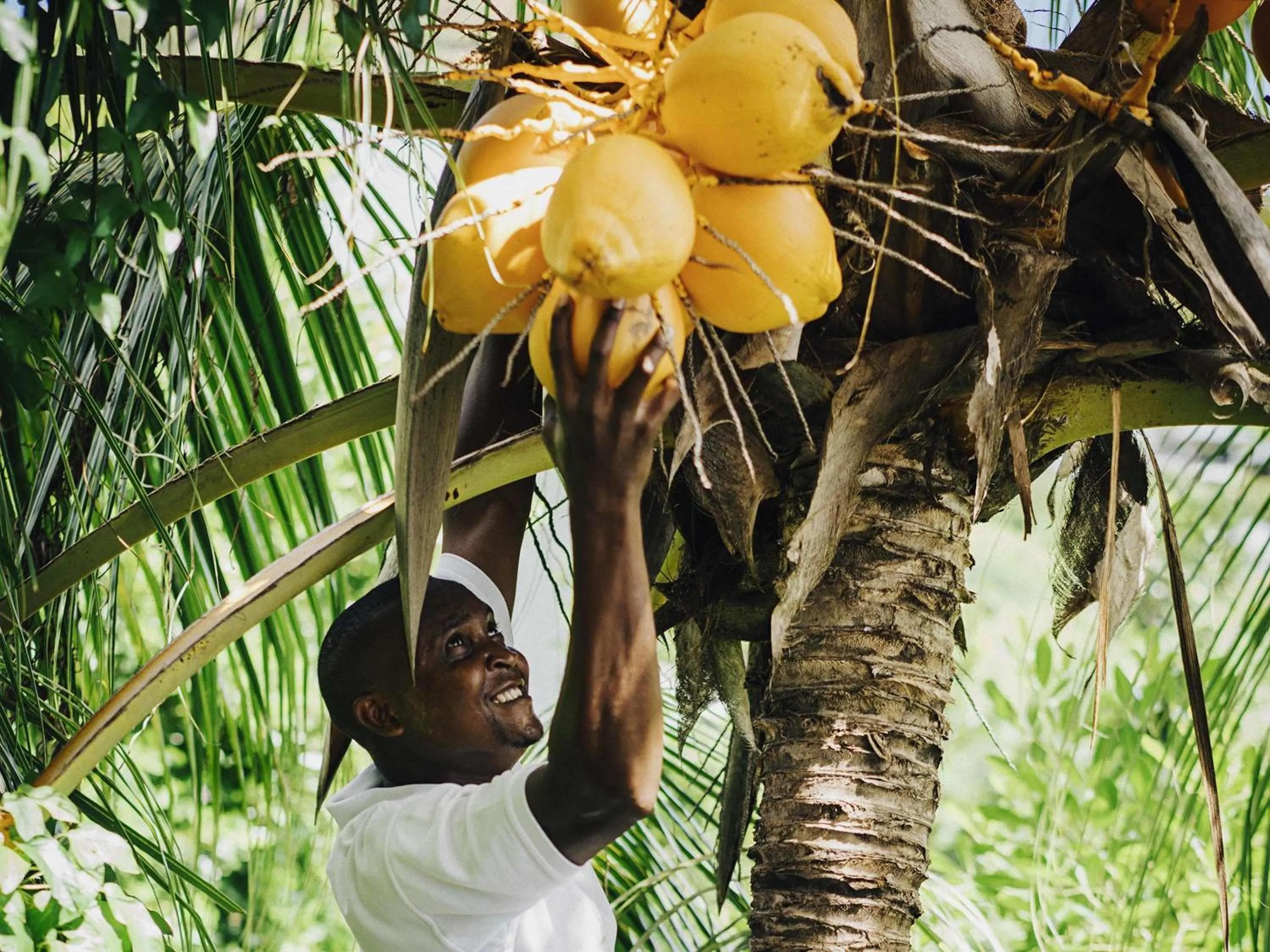Other in Raffles Seychelles