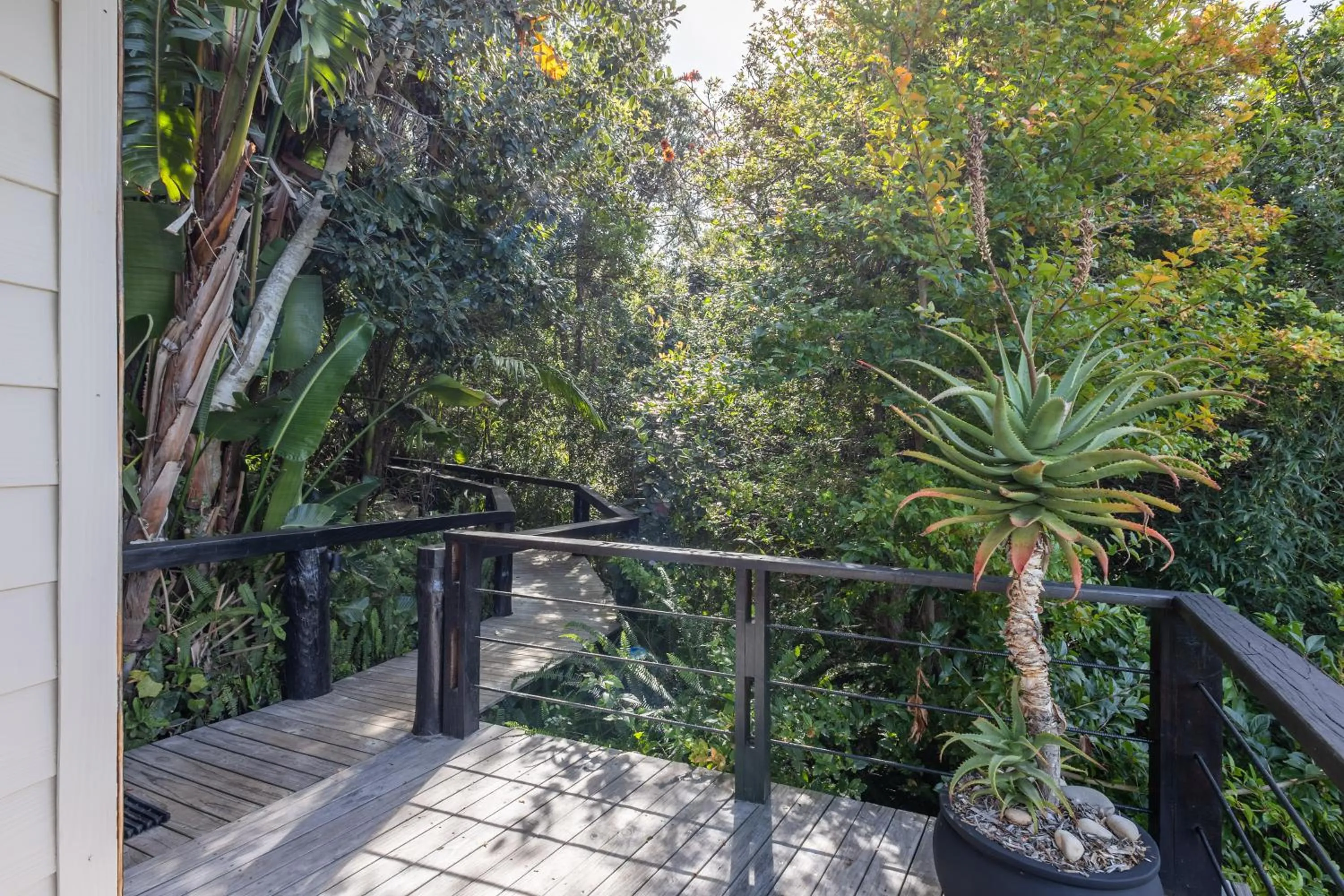 Natural landscape in Hog Hollow Country Lodge